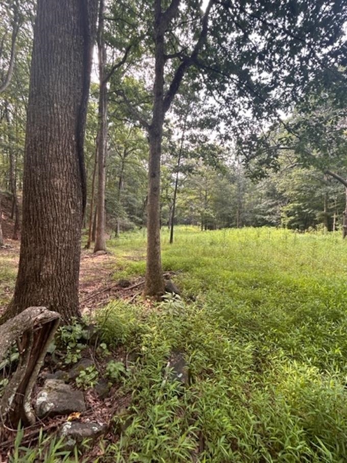 81.5 Acres HOPKINS GAP RD, FULKS RUN, Virginia 22830, ,Farm,81.5 Acres HOPKINS GAP RD,675971 MLS # 675971