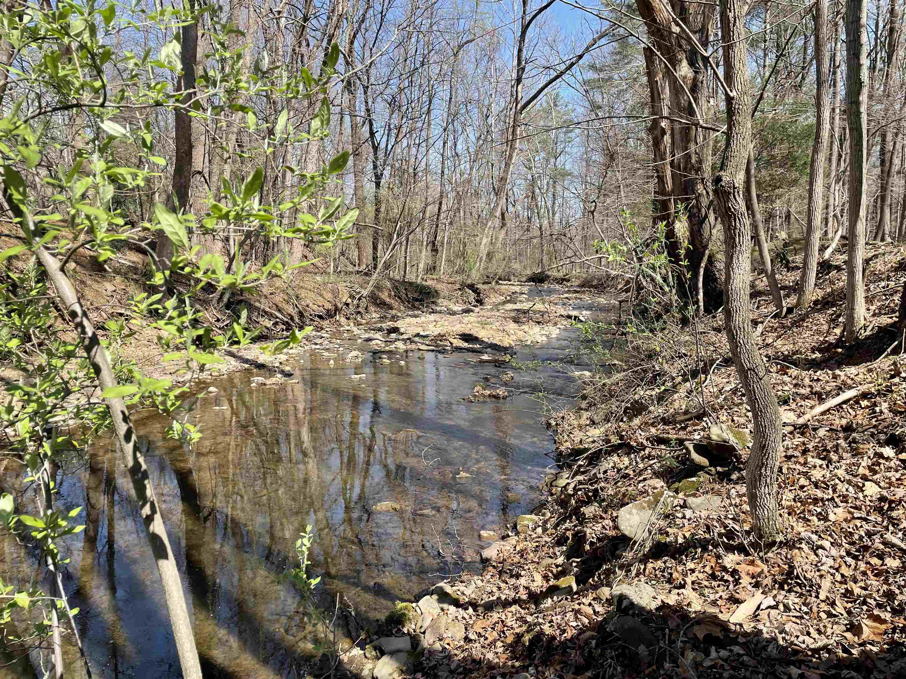 81.5 Acres HOPKINS GAP RD, FULKS RUN, Virginia 22830, ,Farm,81.5 Acres HOPKINS GAP RD,675971 MLS # 675971