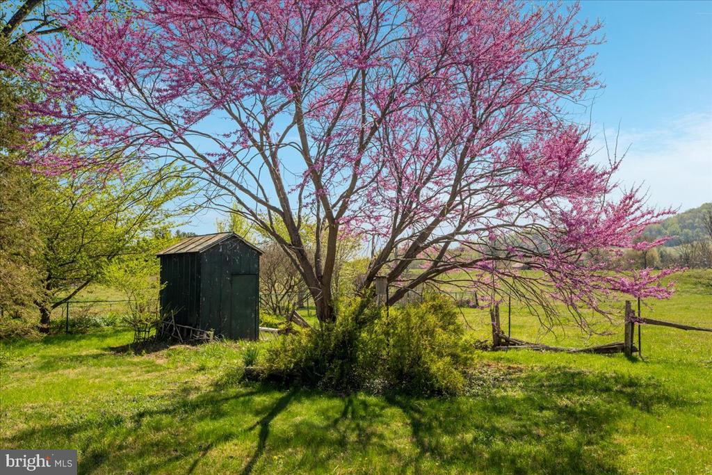 540 MOUNT SALEM AVE, WASHINGTON, Virginia, 5 Bedrooms Bedrooms, ,2 BathroomsBathrooms,Residential,540 MOUNT SALEM AVE,VARP2002566 MLS # VARP2002566