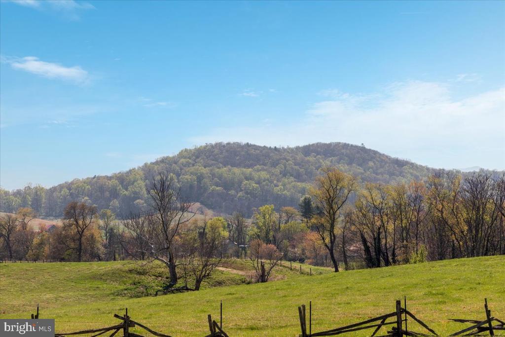 540 MOUNT SALEM AVE, WASHINGTON, Virginia, 5 Bedrooms Bedrooms, ,2 BathroomsBathrooms,Residential,540 MOUNT SALEM AVE,VARP2002566 MLS # VARP2002566