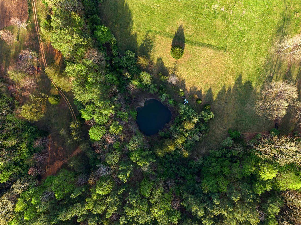 15240 SHEADS MOUNTAIN RD, RIXEYVILLE, Virginia 22737, 3 Bedrooms Bedrooms, ,2 BathroomsBathrooms,Residential,15240 SHEADS MOUNTAIN RD,VACU2013274 MLS # VACU2013274