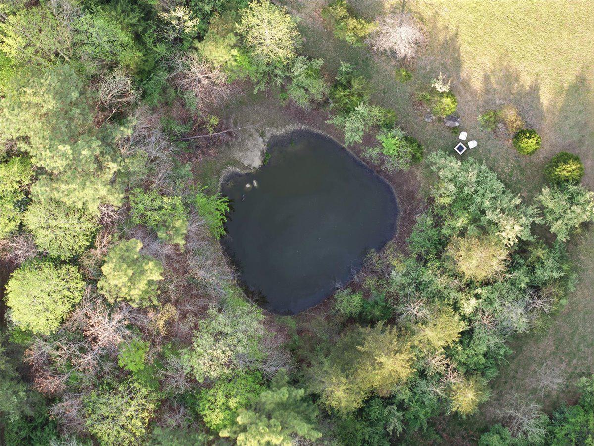 15240 SHEADS MOUNTAIN RD, RIXEYVILLE, Virginia 22737, 3 Bedrooms Bedrooms, ,2 BathroomsBathrooms,Residential,15240 SHEADS MOUNTAIN RD,VACU2013274 MLS # VACU2013274