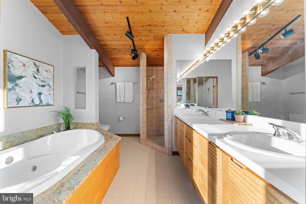 219 TIGER VALLEY RD, WASHINGTON, Virginia, 5 Bedrooms Bedrooms, ,3 BathroomsBathrooms,Residential,219 TIGER VALLEY RD,VARP2002576 MLS # VARP2002576