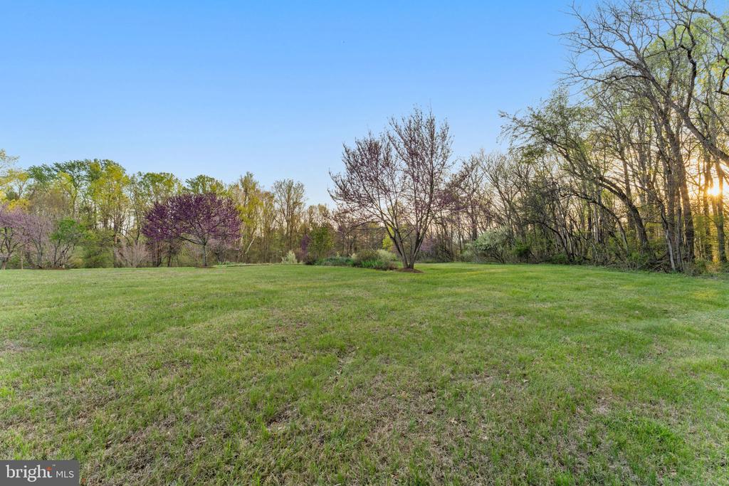 219 TIGER VALLEY RD, WASHINGTON, Virginia, 5 Bedrooms Bedrooms, ,3 BathroomsBathrooms,Residential,219 TIGER VALLEY RD,VARP2002576 MLS # VARP2002576