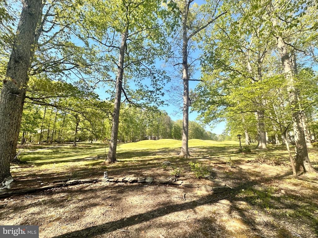 510 BIRDIE RD, LOCUST GROVE, Virginia 22508, 3 Bedrooms Bedrooms, ,2 BathroomsBathrooms,Residential,510 BIRDIE RD,VAOR2013866 MLS # VAOR2013866