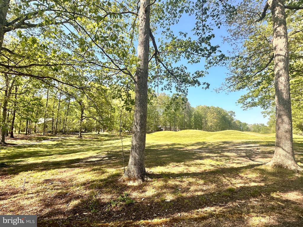 510 BIRDIE RD, LOCUST GROVE, Virginia 22508, 3 Bedrooms Bedrooms, ,2 BathroomsBathrooms,Residential,510 BIRDIE RD,VAOR2013866 MLS # VAOR2013866