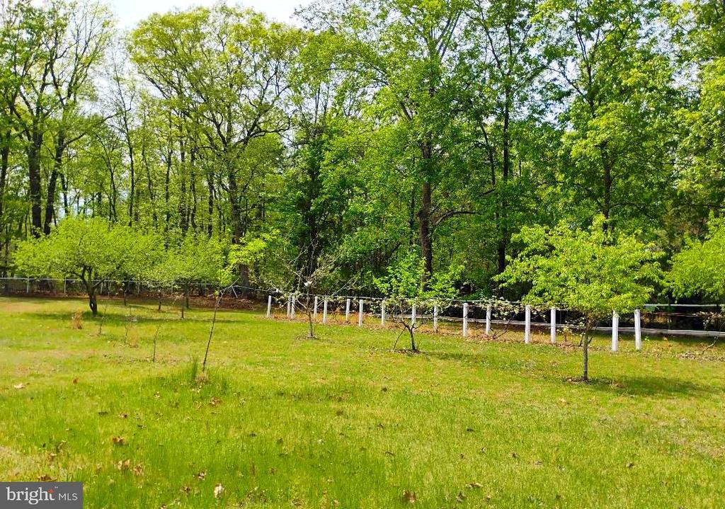 12266 ELK RUN CHURCH RD, MIDLAND, Virginia, 3 Bedrooms Bedrooms, ,2 BathroomsBathrooms,Residential,12266 ELK RUN CHURCH RD,VAFQ2021554 MLS # VAFQ2021554