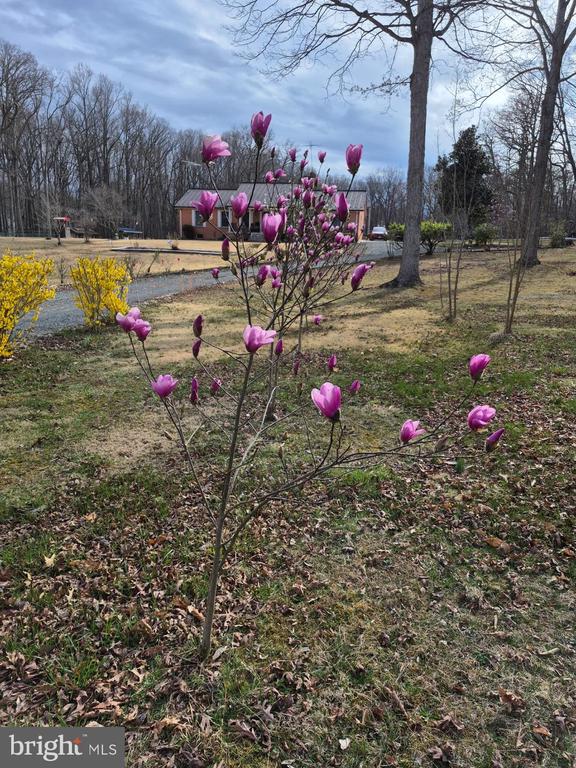 12266 ELK RUN CHURCH RD, MIDLAND, Virginia, 3 Bedrooms Bedrooms, ,2 BathroomsBathrooms,Residential,12266 ELK RUN CHURCH RD,VAFQ2021554 MLS # VAFQ2021554