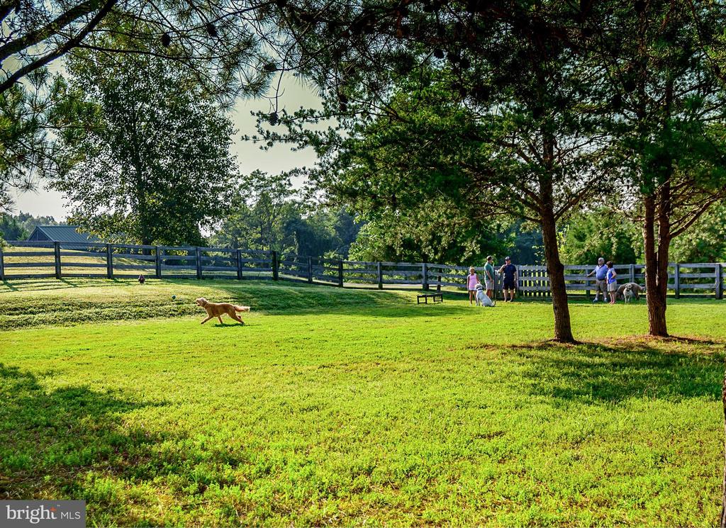 10916 CHATHAM RIDGE WAY, SPOTSYLVANIA, Virginia 22551, 5 Bedrooms Bedrooms, ,4 BathroomsBathrooms,Residential,10916 CHATHAM RIDGE WAY,VASP2040954 MLS # VASP2040954