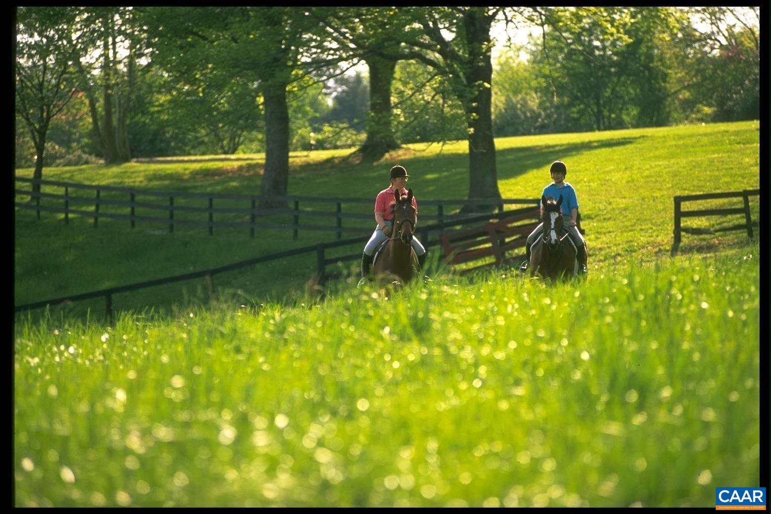 2218 WATERSIDE WY, KESWICK, Virginia 22947, 4 Bedrooms Bedrooms, ,4 BathroomsBathrooms,Residential,2218 WATERSIDE WY,675665 MLS # 675665