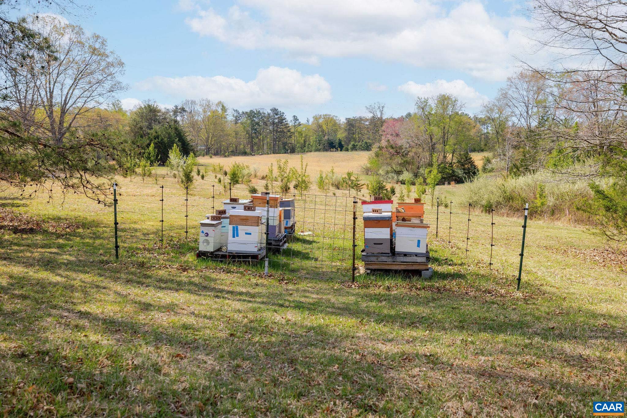 4764 ADVANCE MILLS RD, EARLYSVILLE, Virginia 22936, 4 Bedrooms Bedrooms, ,4 BathroomsBathrooms,Residential,4764 ADVANCE MILLS RD,675827 MLS # 675827