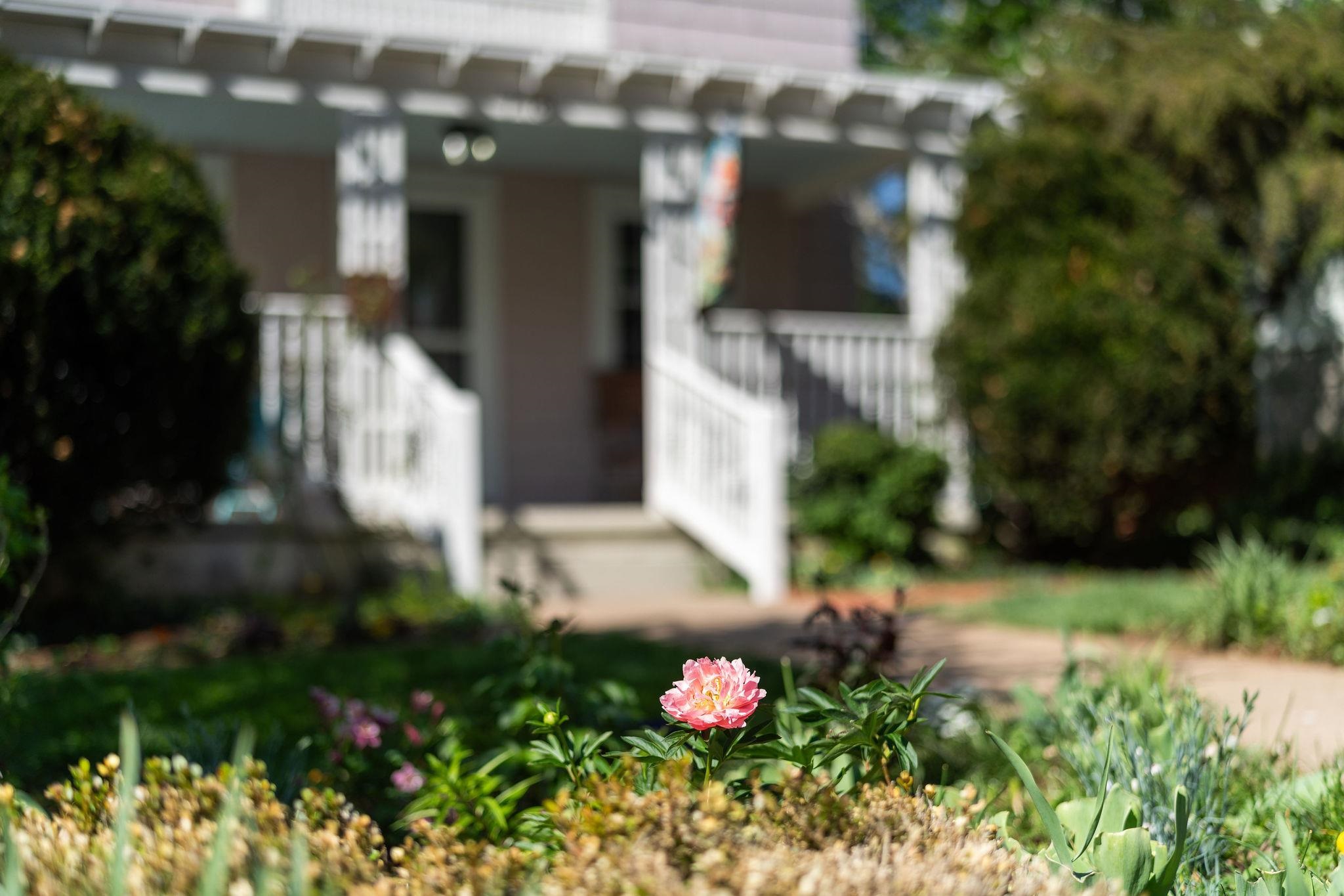 718 ALLEGHANY AVE, STAUNTON, Virginia 24401, 3 Bedrooms Bedrooms, ,2 BathroomsBathrooms,Residential,718 ALLEGHANY AVE,675962 MLS # 675962