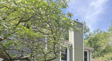 919 STONEHENGE RD, CHARLOTTESVILLE, Virginia 22901, 3 Bedrooms Bedrooms, ,2 BathroomsBathrooms,Residential,919 STONEHENGE RD,675986 MLS # 675986