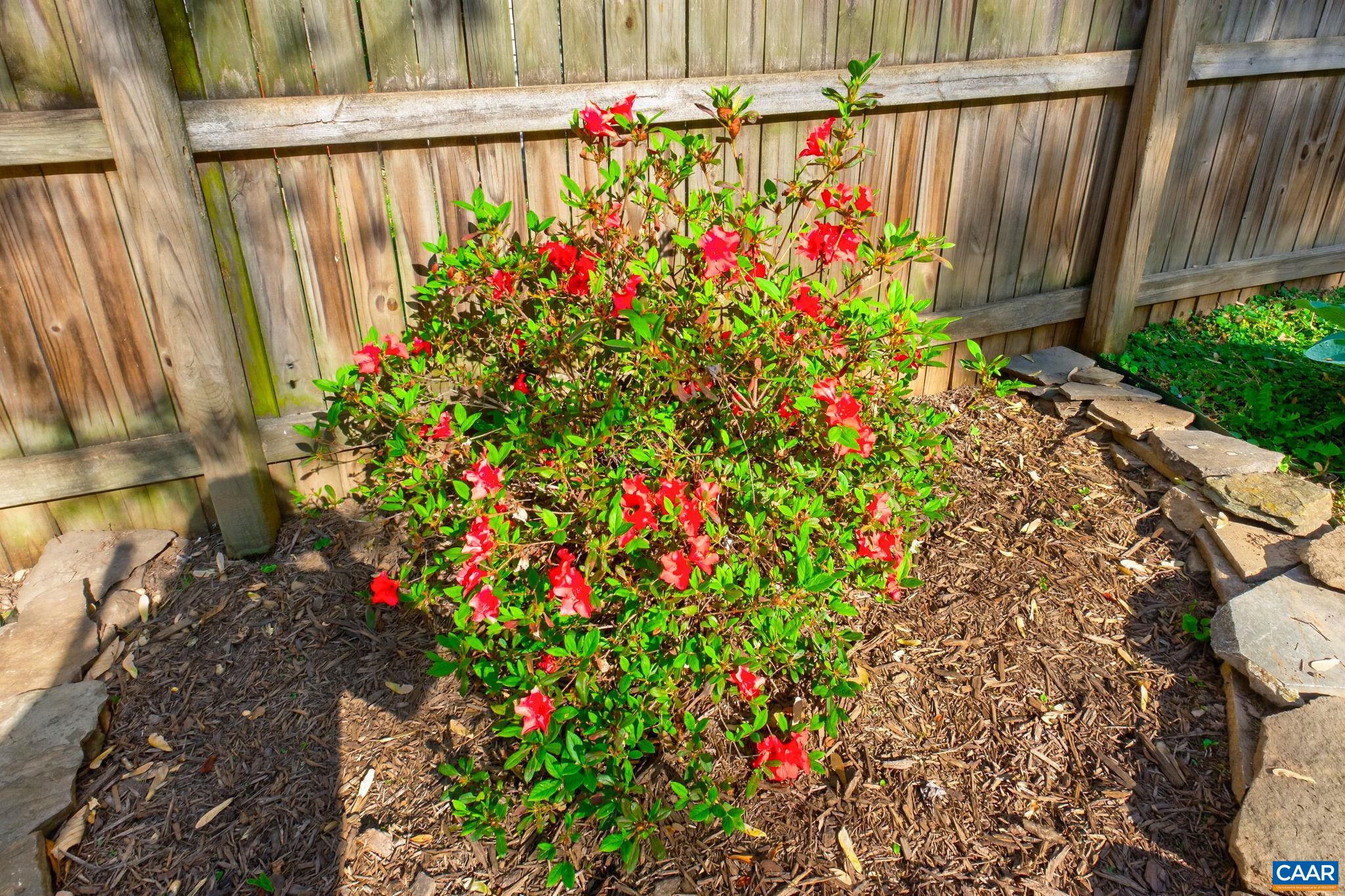 605 BOLLING AVE, CHARLOTTESVILLE, Virginia 22902, 2 Bedrooms Bedrooms, ,1 BathroomBathrooms,Residential,605 BOLLING AVE,675978 MLS # 675978