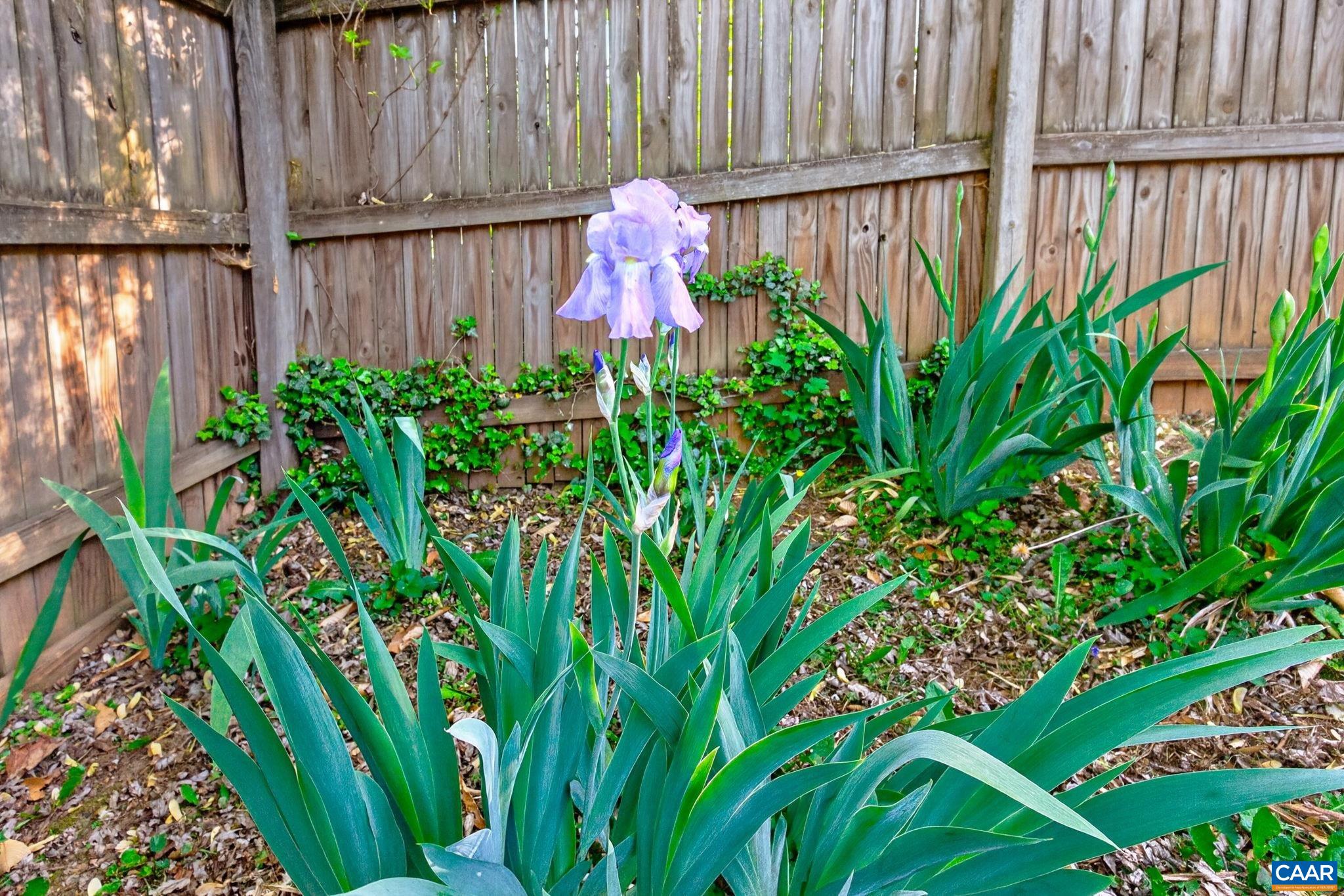 605 BOLLING AVE, CHARLOTTESVILLE, Virginia 22902, 2 Bedrooms Bedrooms, ,1 BathroomBathrooms,Residential,605 BOLLING AVE,675978 MLS # 675978