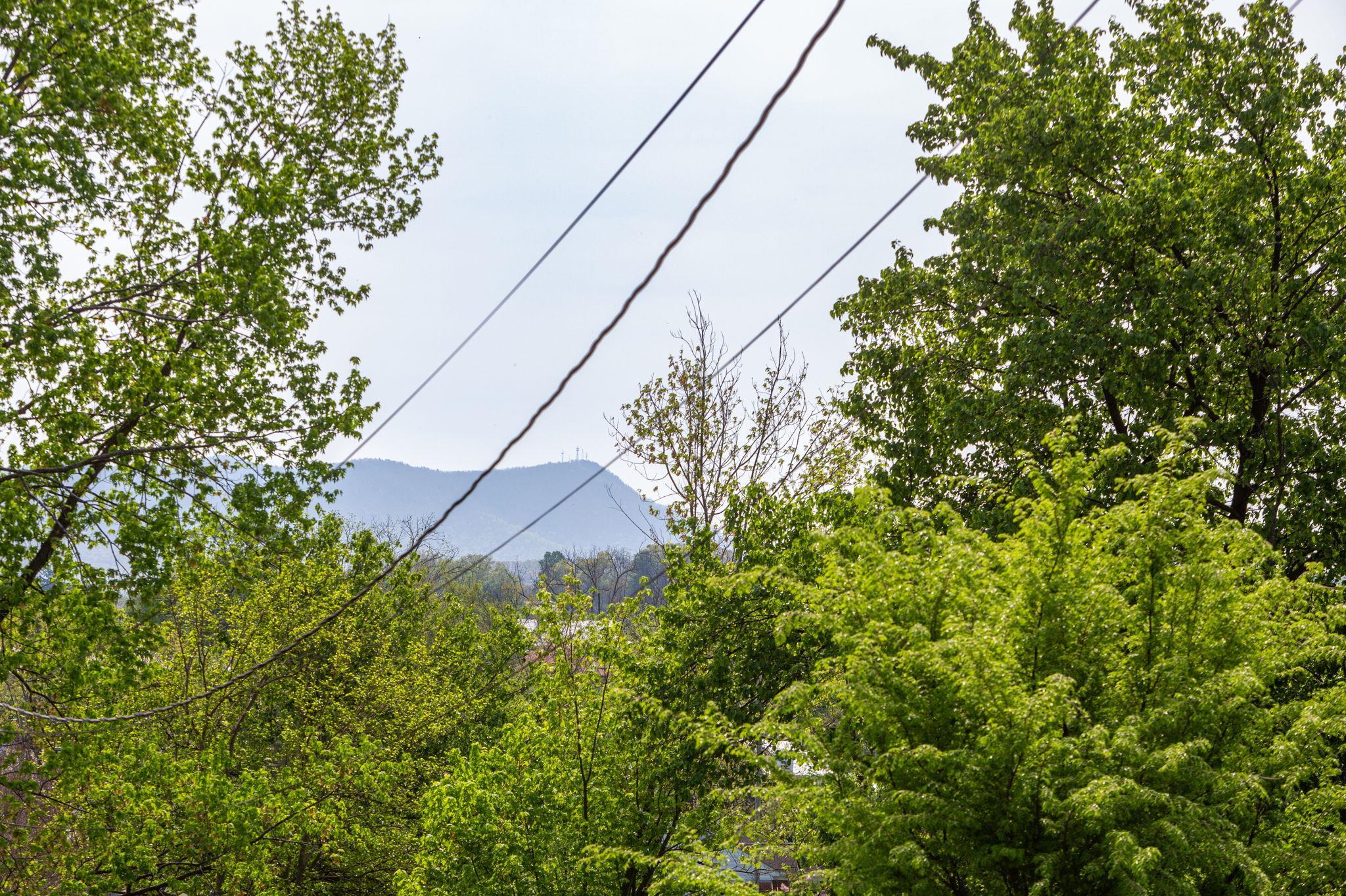 225 HARTMAN DR, HARRISONBURG, Virginia 22802, 3 Bedrooms Bedrooms, ,1 BathroomBathrooms,Residential,225 HARTMAN DR,675982 MLS # 675982