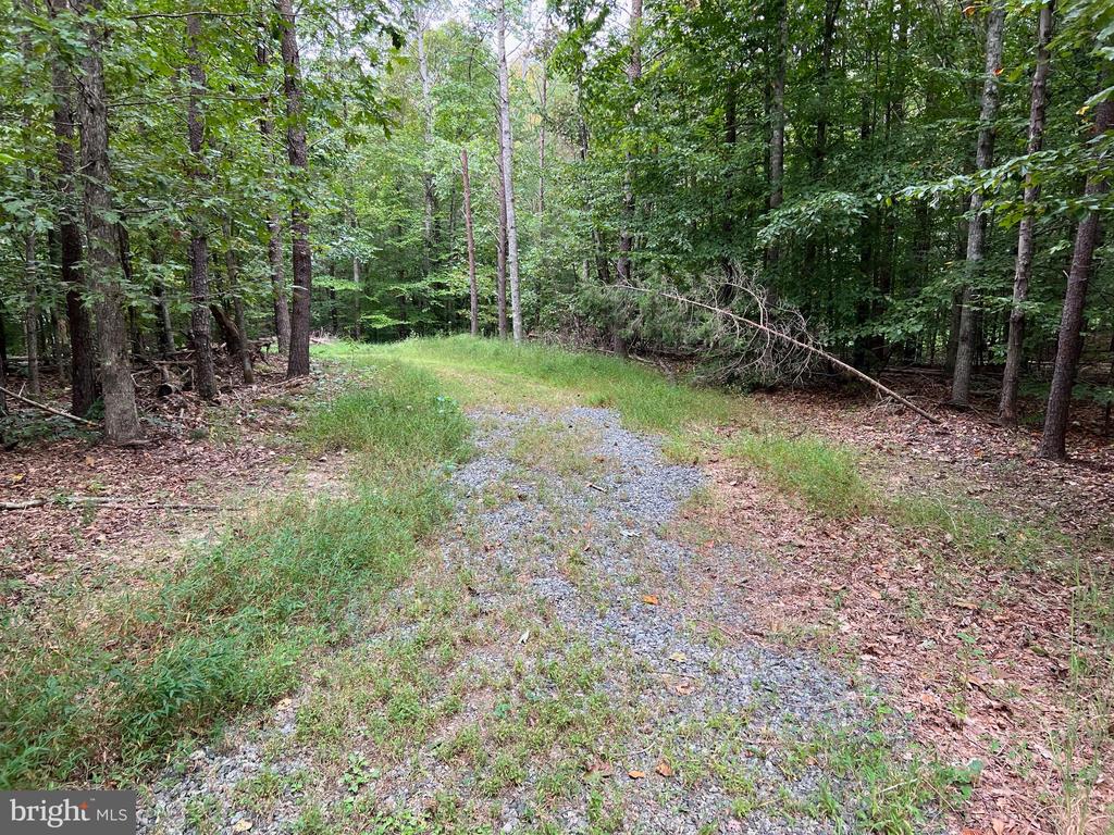 S. BLUE RIDGE TURNPIKE, ROCHELLE, Virginia 22738, ,Land,S. BLUE RIDGE TURNPIKE,VAMA2002702 MLS # VAMA2002702