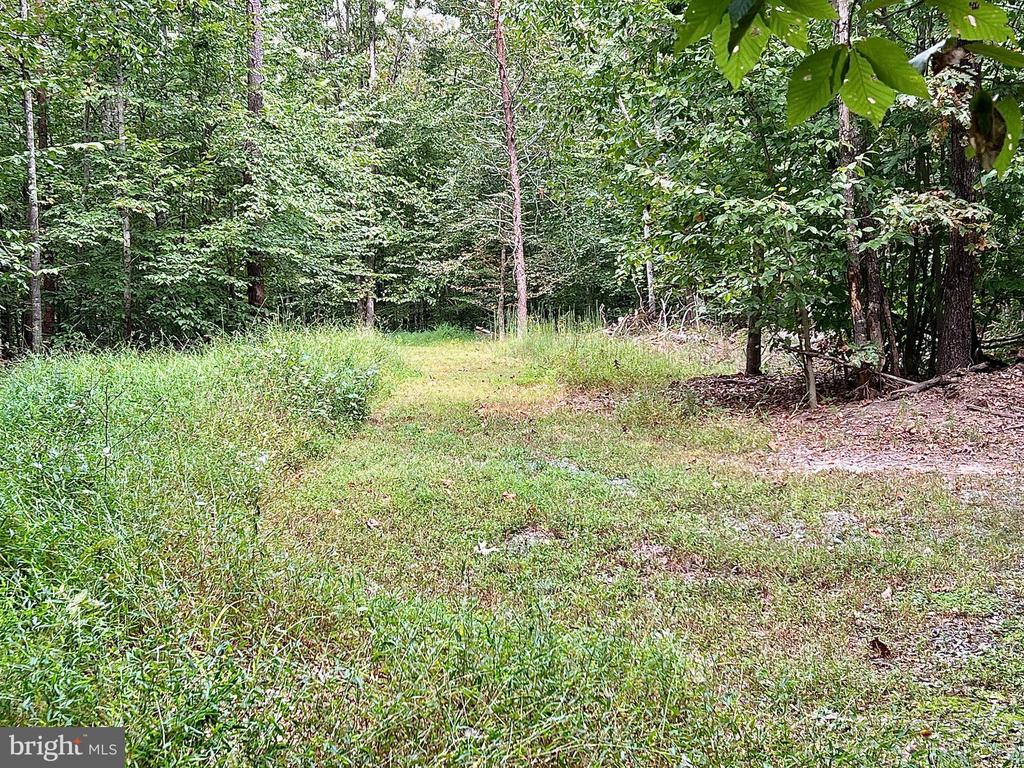 S. BLUE RIDGE TURNPIKE, ROCHELLE, Virginia 22738, ,Land,S. BLUE RIDGE TURNPIKE,VAMA2002702 MLS # VAMA2002702