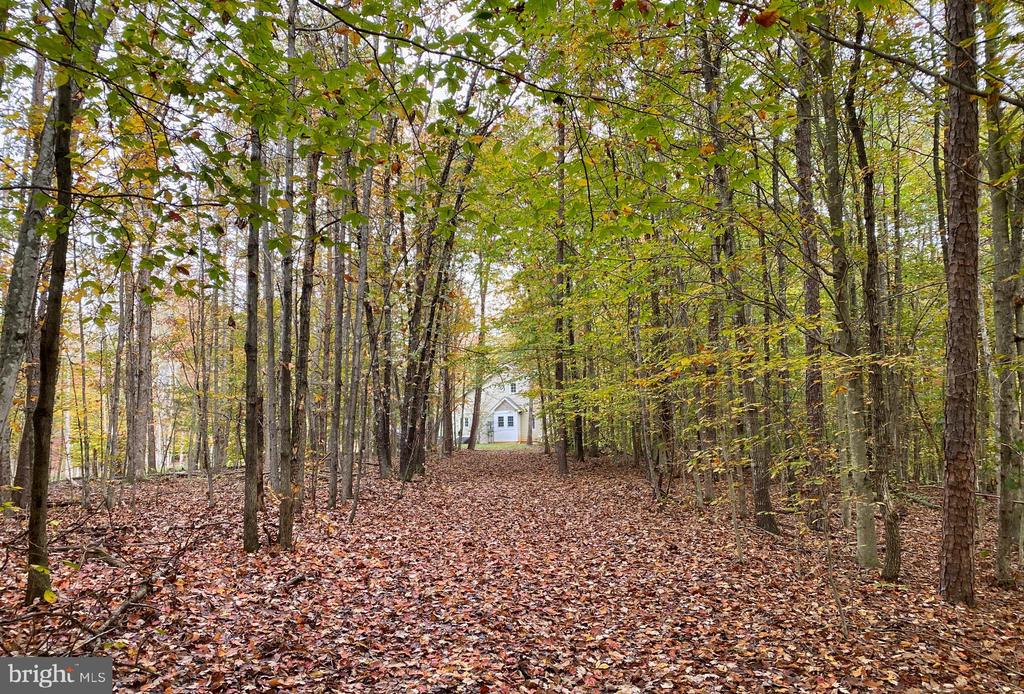 S. BLUE RIDGE TURNPIKE, ROCHELLE, Virginia 22738, ,Land,S. BLUE RIDGE TURNPIKE,VAMA2002702 MLS # VAMA2002702