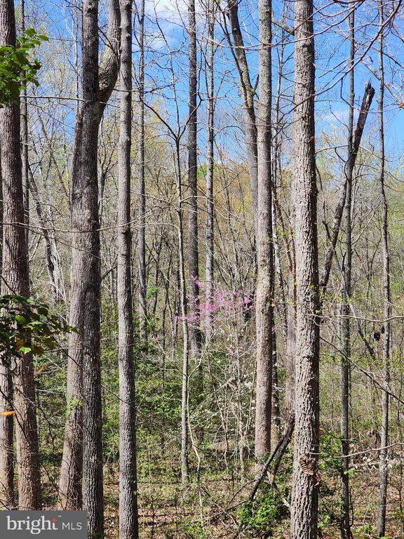 BENT CREEK LN, BUMPASS, Virginia 23024, ,Land,BENT CREEK LN,VALA2009440 MLS # VALA2009440