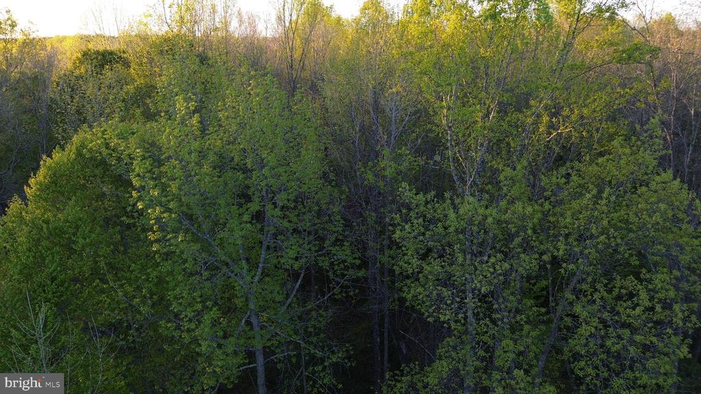 BENT CREEK LN, BUMPASS, Virginia 23024, ,Land,BENT CREEK LN,VALA2009440 MLS # VALA2009440