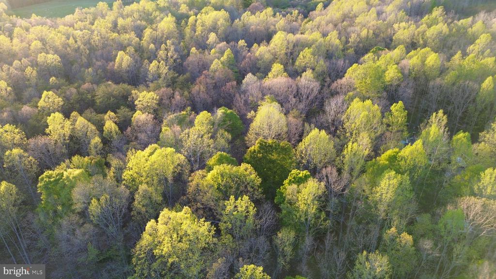 BENT CREEK LN, BUMPASS, Virginia 23024, ,Land,BENT CREEK LN,VALA2009440 MLS # VALA2009440