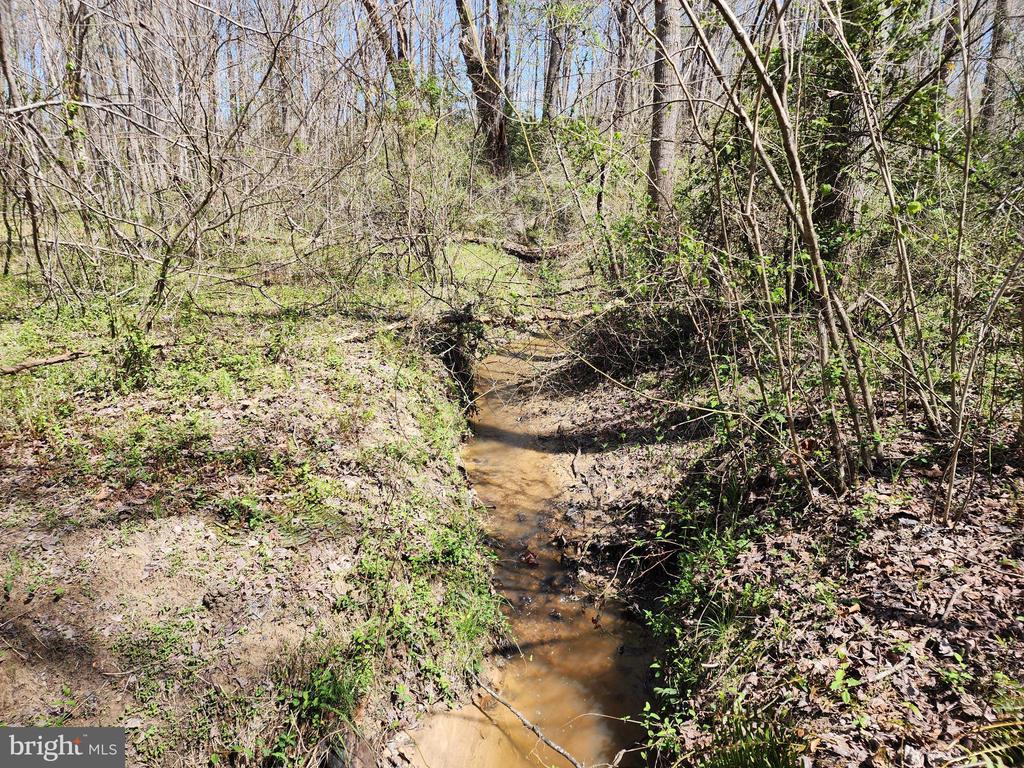 BENT CREEK LN, BUMPASS, Virginia 23024, ,Land,BENT CREEK LN,VALA2009440 MLS # VALA2009440