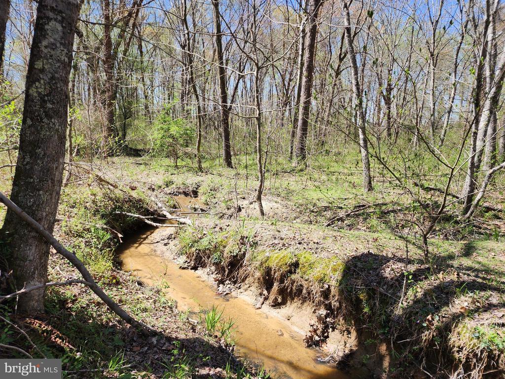 BENT CREEK LN, BUMPASS, Virginia 23024, ,Land,BENT CREEK LN,VALA2009440 MLS # VALA2009440