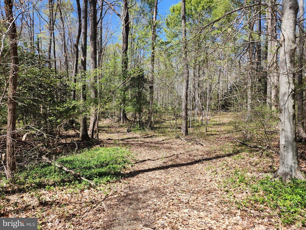 BENT CREEK LN, BUMPASS, Virginia 23024, ,Land,BENT CREEK LN,VALA2009440 MLS # VALA2009440