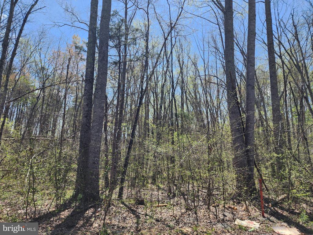 BENT CREEK LN, BUMPASS, Virginia 23024, ,Land,BENT CREEK LN,VALA2009440 MLS # VALA2009440