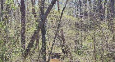 BENT CREEK LN, BUMPASS, Virginia 23024, ,Land,BENT CREEK LN,VALA2009440 MLS # VALA2009440