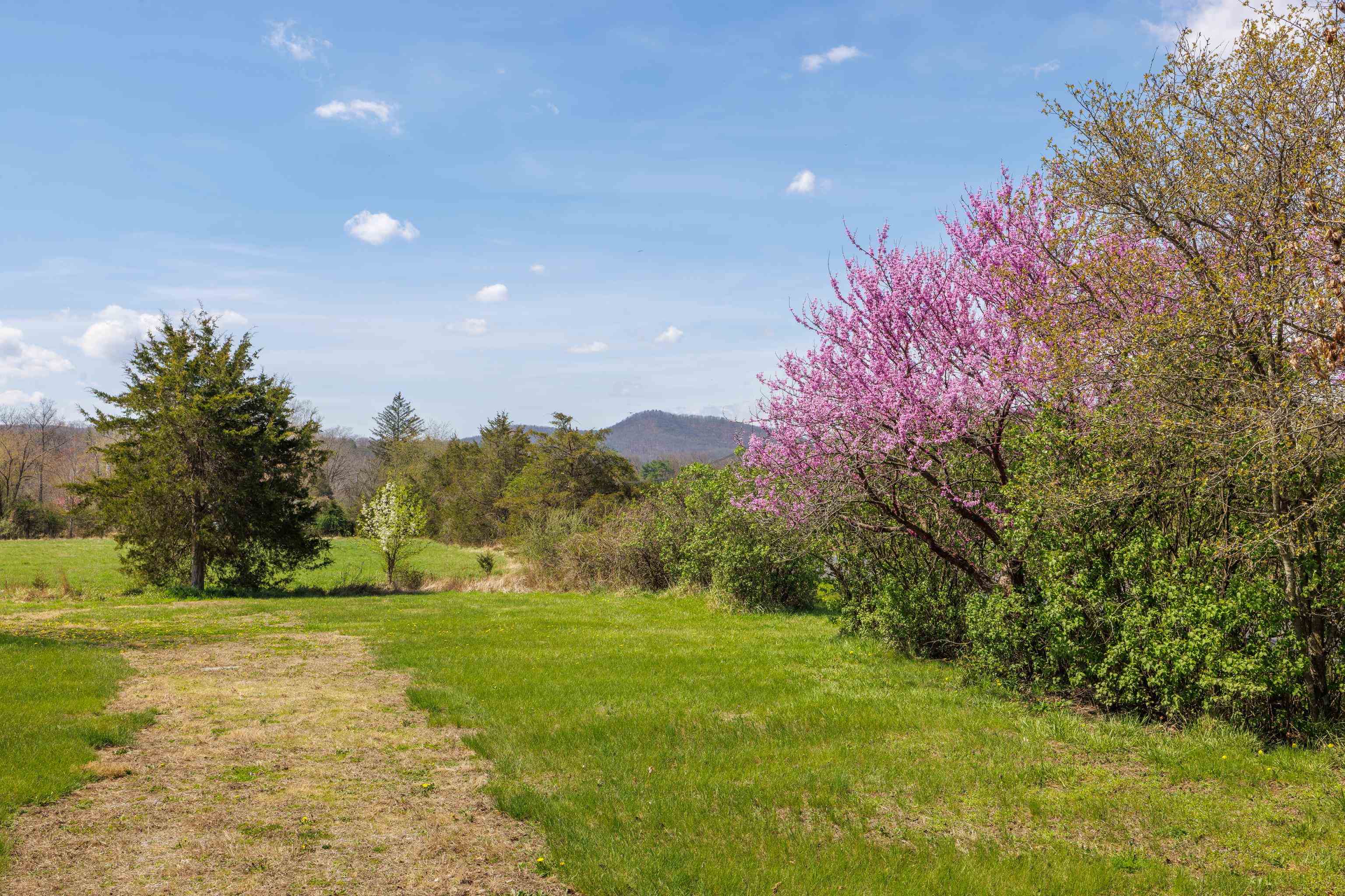 14506 TRAVIS LN, FULKS RUN, Virginia 22830, ,Land,14506 TRAVIS LN,675997 MLS # 675997