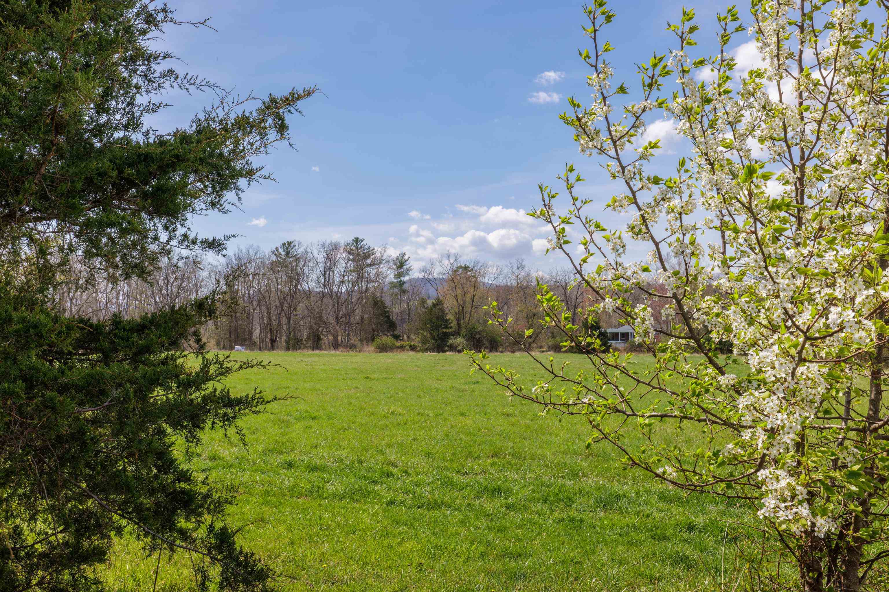 14506 TRAVIS LN, FULKS RUN, Virginia 22830, ,Land,14506 TRAVIS LN,675997 MLS # 675997