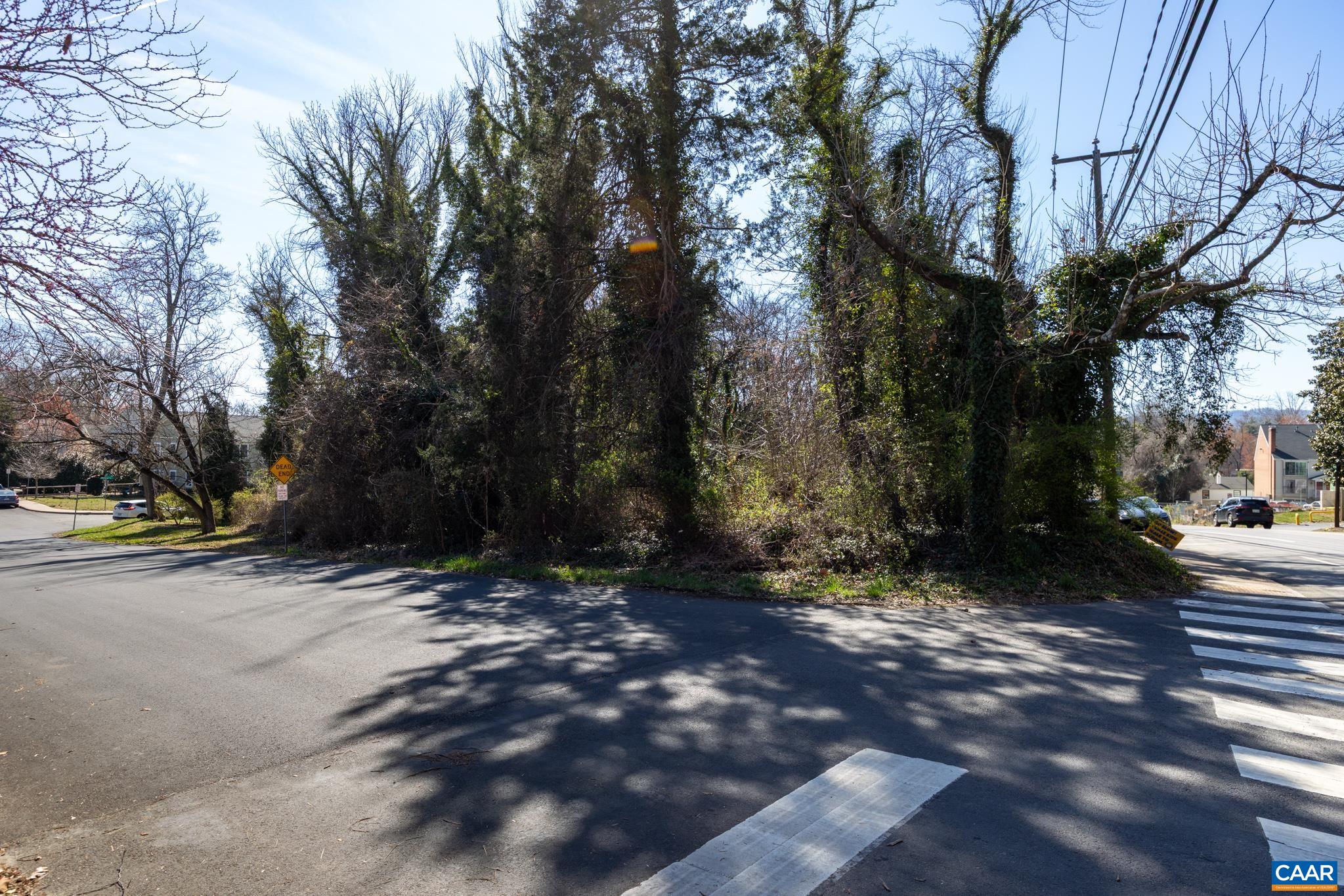 Lot 1 PRESTON AVE, CHARLOTTESVILLE, Virginia 22903, ,Land,Lot 1 PRESTON AVE,675999 MLS # 675999