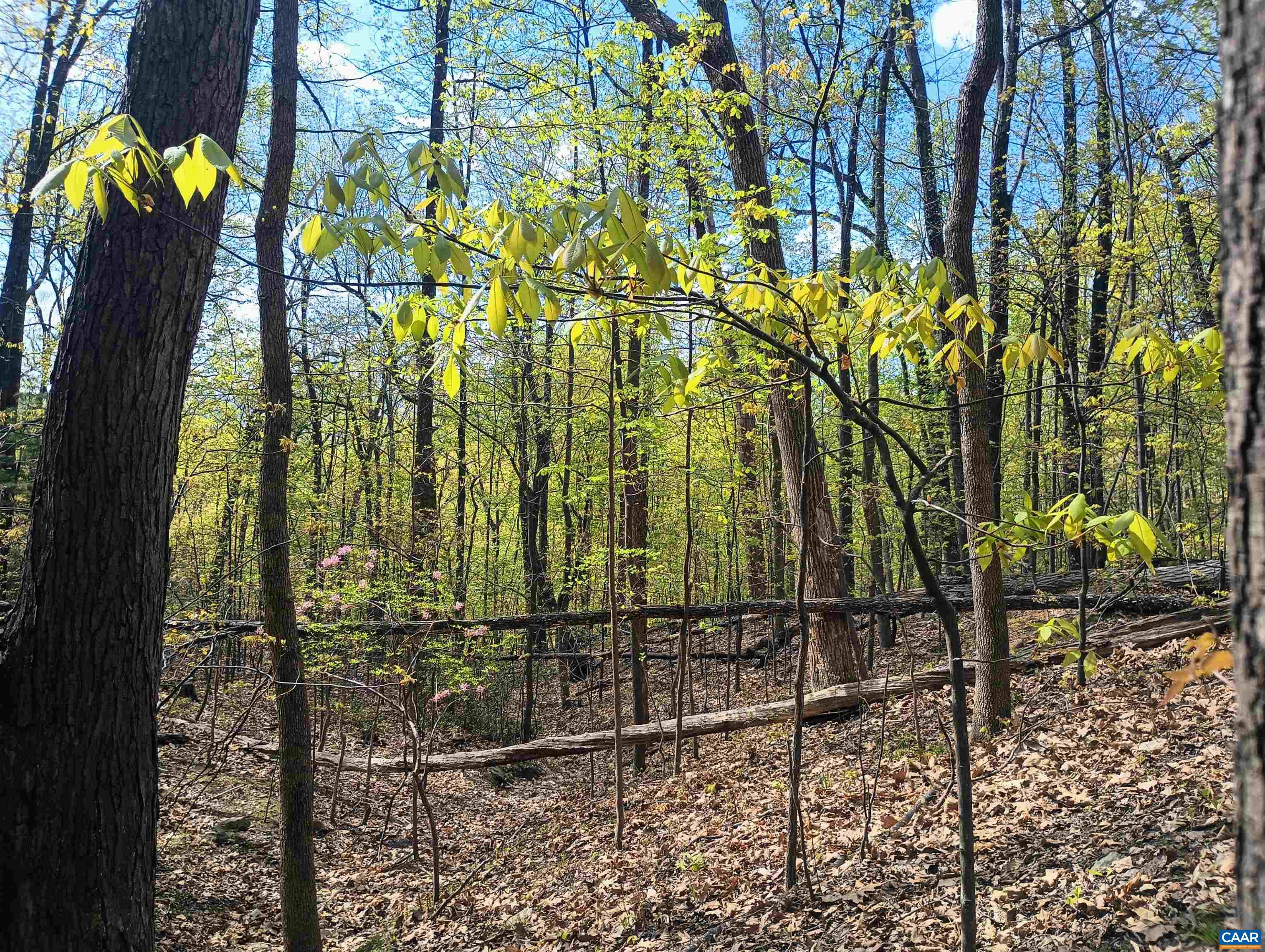 0 ROCKFISH HEIGHTS LN, NELLYSFORD, Virginia 22958, ,Land,0 ROCKFISH HEIGHTS LN,676019 MLS # 676019