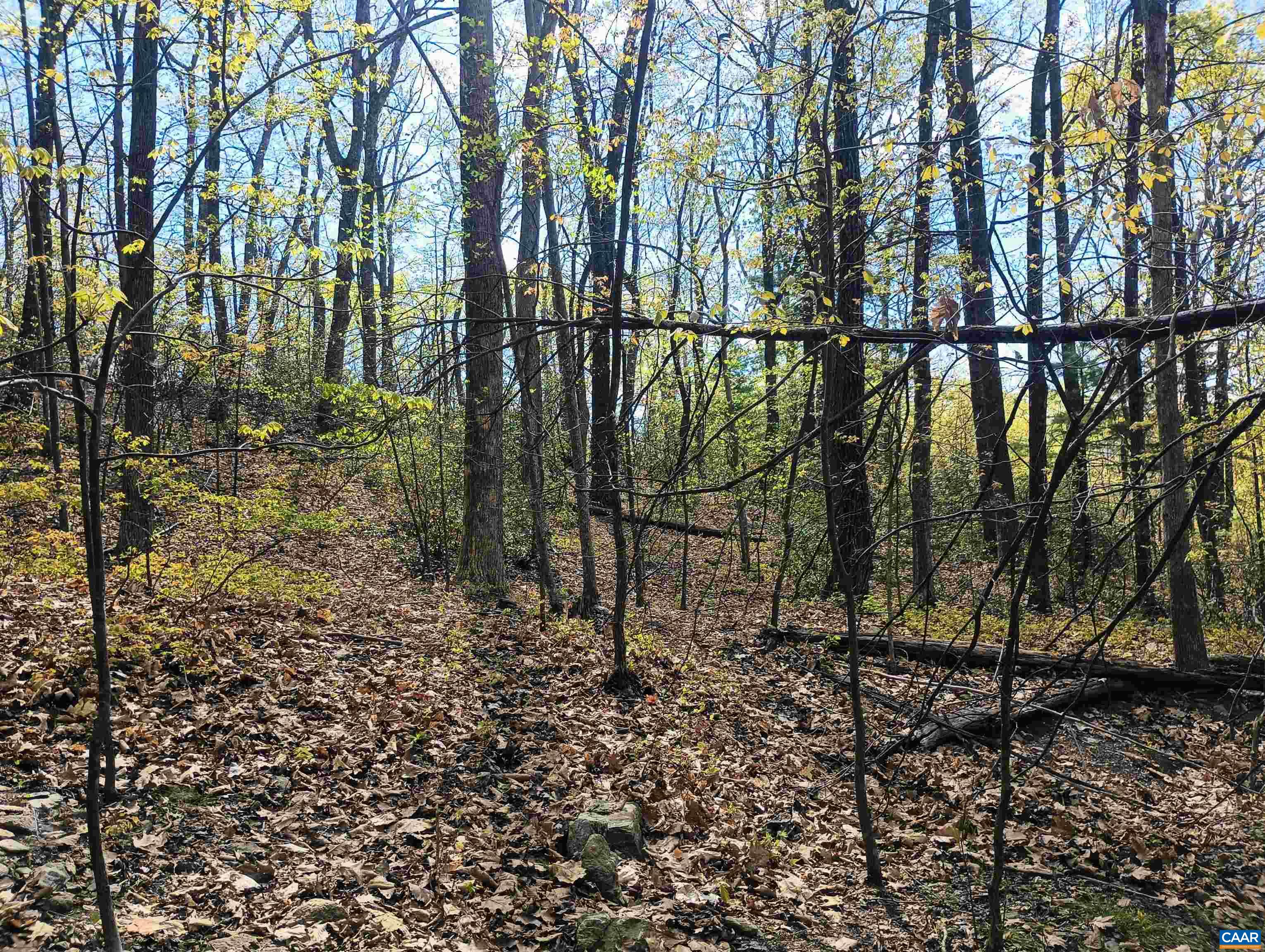 0 ROCKFISH HEIGHTS LN, NELLYSFORD, Virginia 22958, ,Land,0 ROCKFISH HEIGHTS LN,676019 MLS # 676019