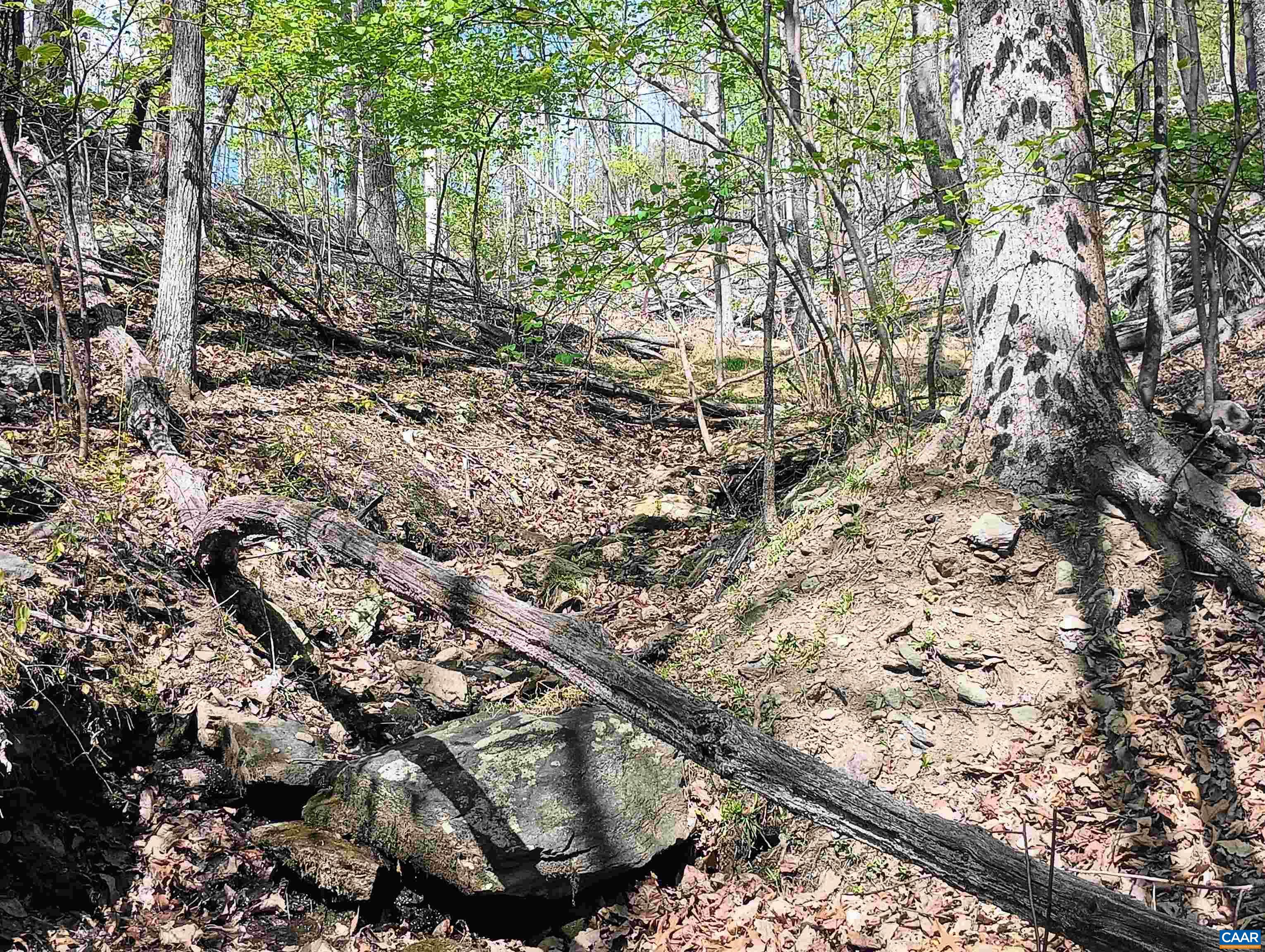 0 ROCKFISH HEIGHTS LN, NELLYSFORD, Virginia 22958, ,Land,0 ROCKFISH HEIGHTS LN,676019 MLS # 676019