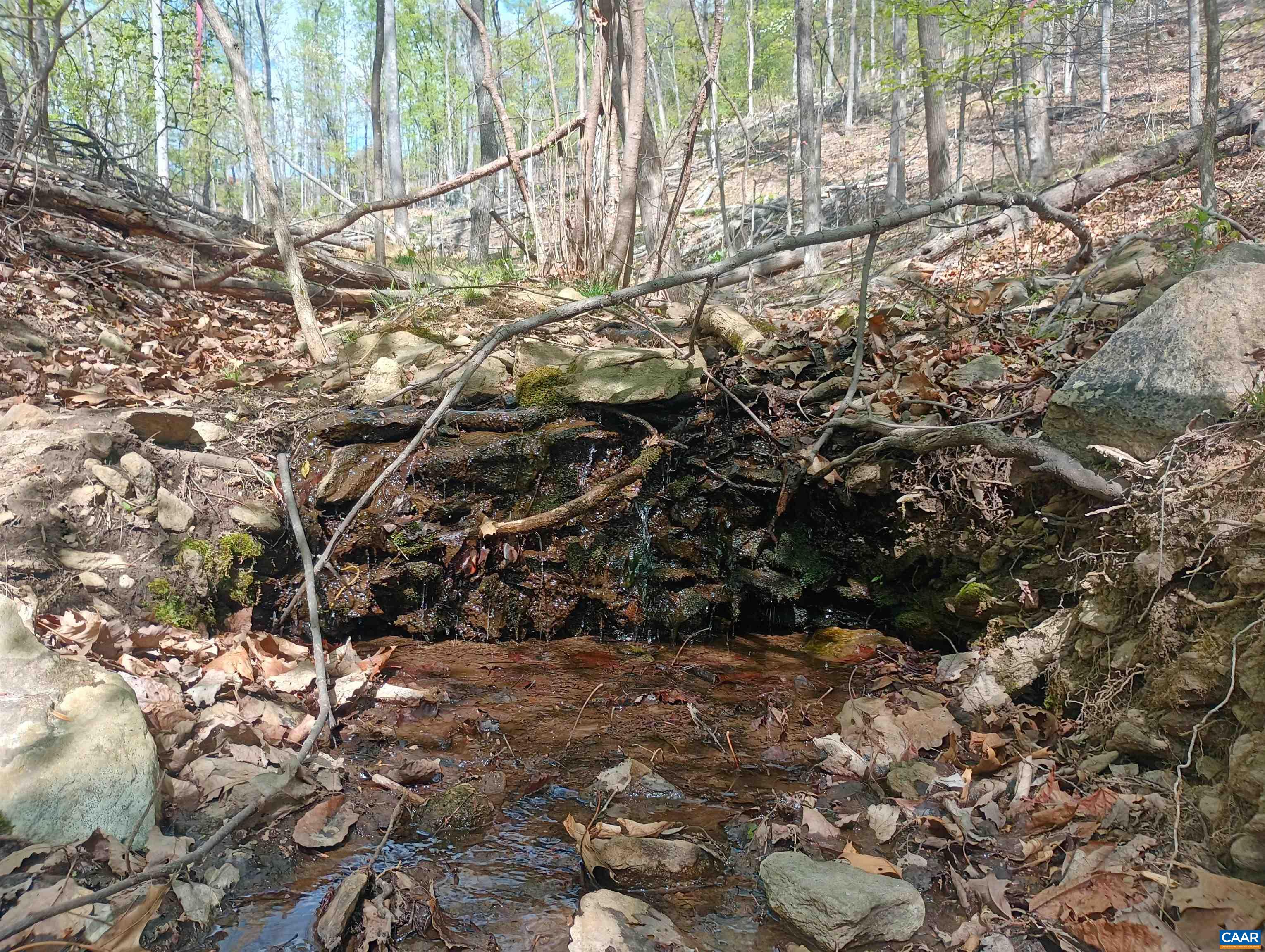 0 ROCKFISH HEIGHTS LN, NELLYSFORD, Virginia 22958, ,Land,0 ROCKFISH HEIGHTS LN,676019 MLS # 676019