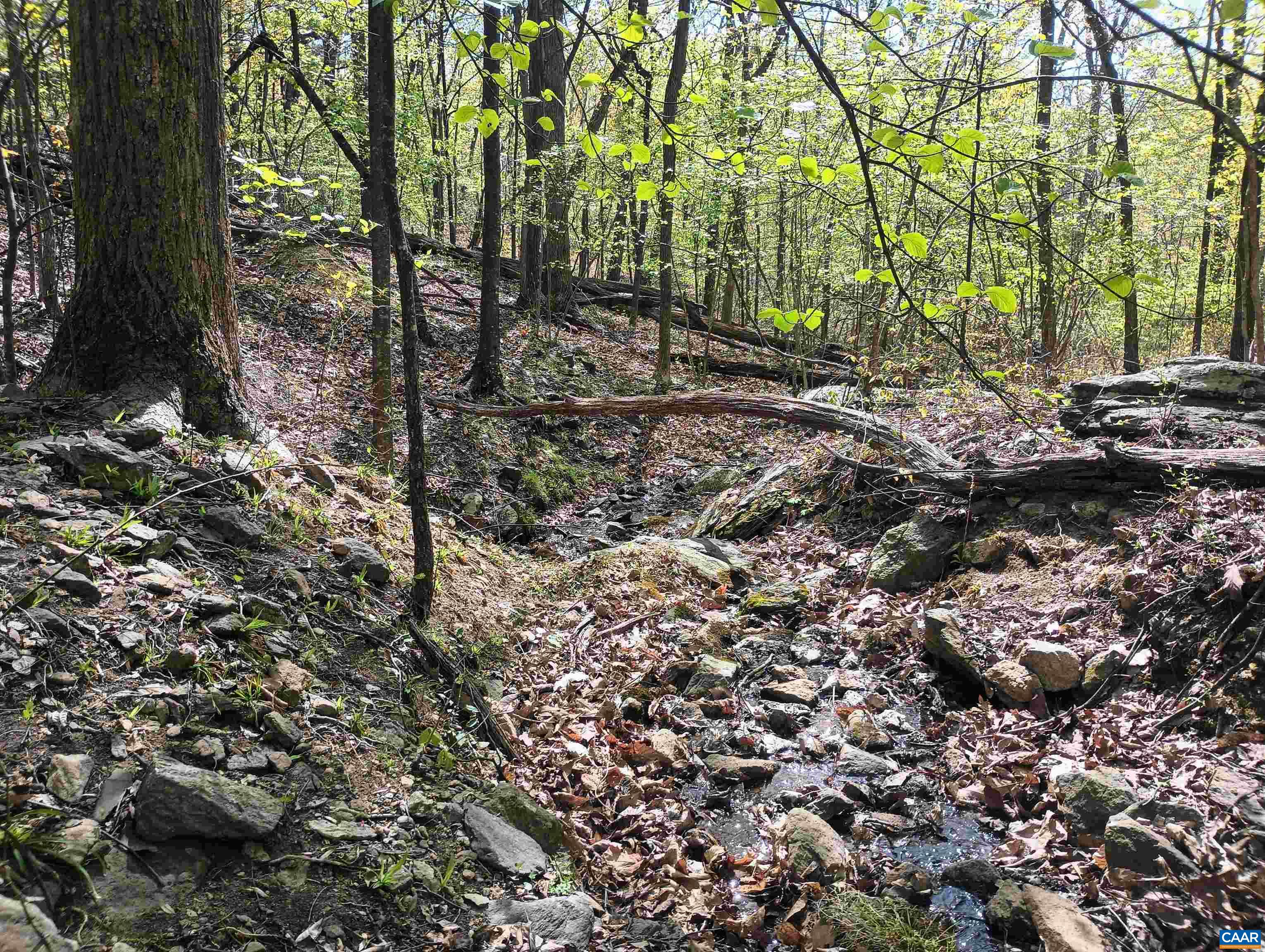 0 ROCKFISH HEIGHTS LN, NELLYSFORD, Virginia 22958, ,Land,0 ROCKFISH HEIGHTS LN,676019 MLS # 676019