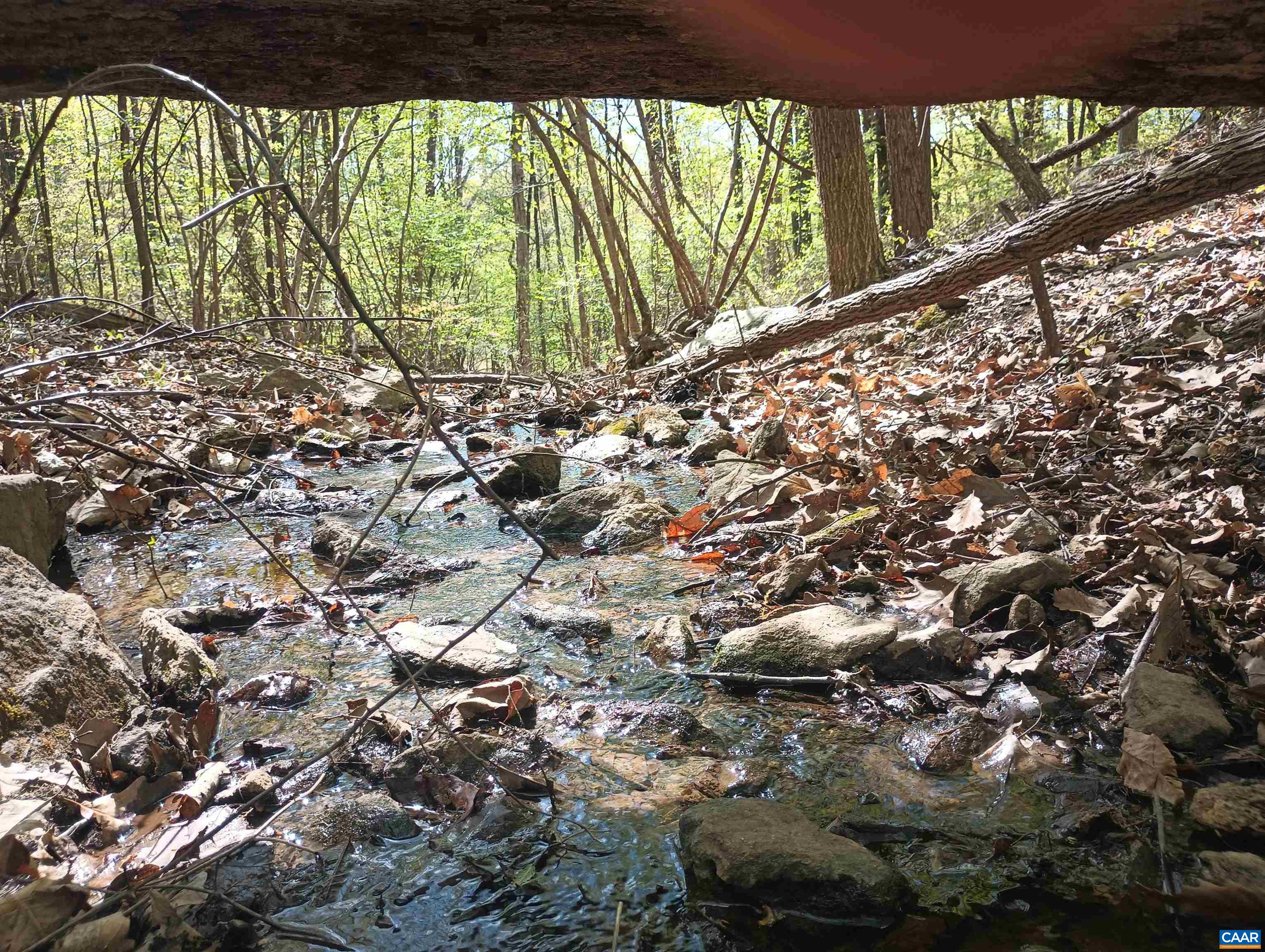 0 ROCKFISH HEIGHTS LN, NELLYSFORD, Virginia 22958, ,Land,0 ROCKFISH HEIGHTS LN,676019 MLS # 676019