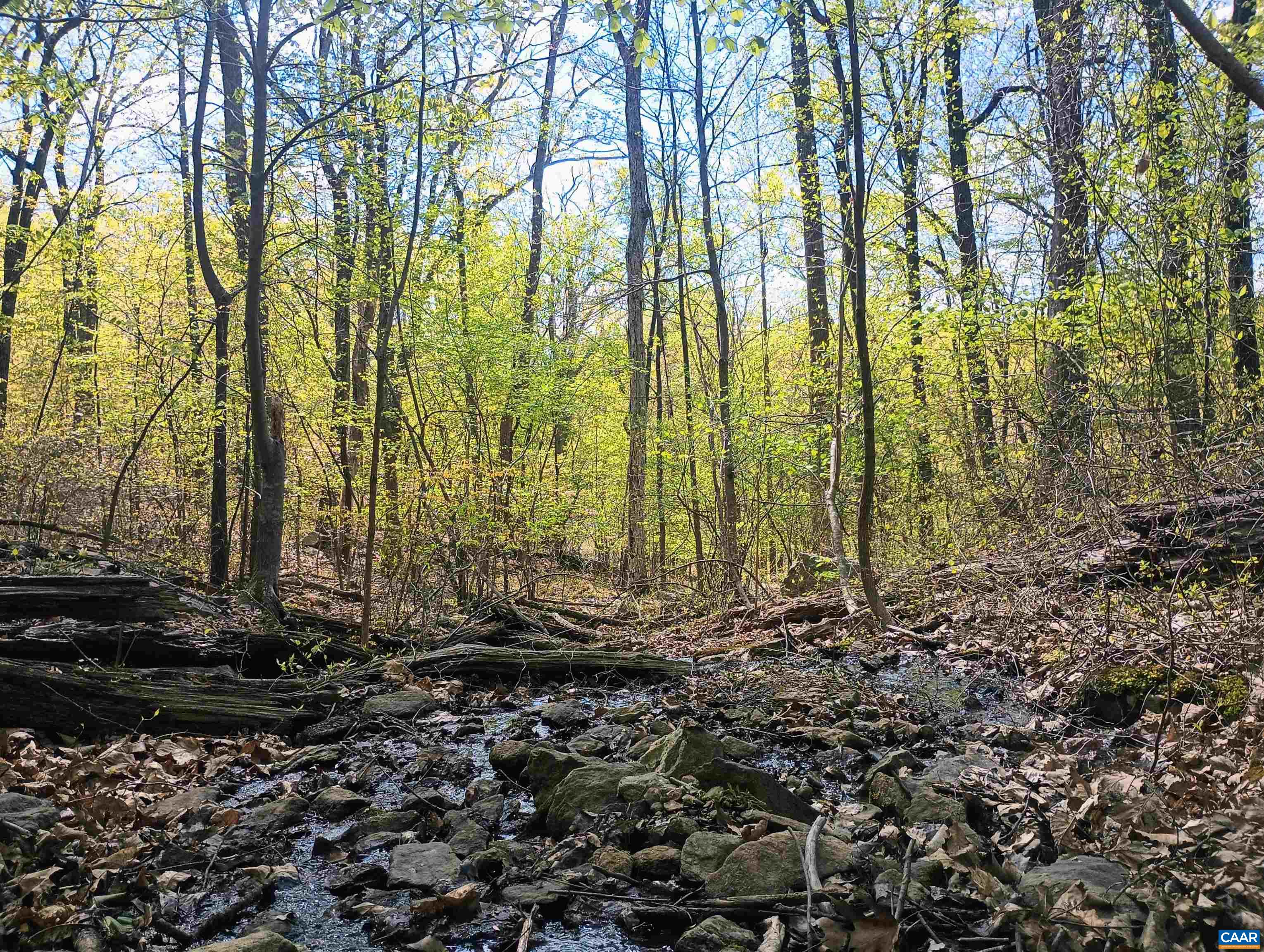 0 ROCKFISH HEIGHTS LN, NELLYSFORD, Virginia 22958, ,Land,0 ROCKFISH HEIGHTS LN,676019 MLS # 676019