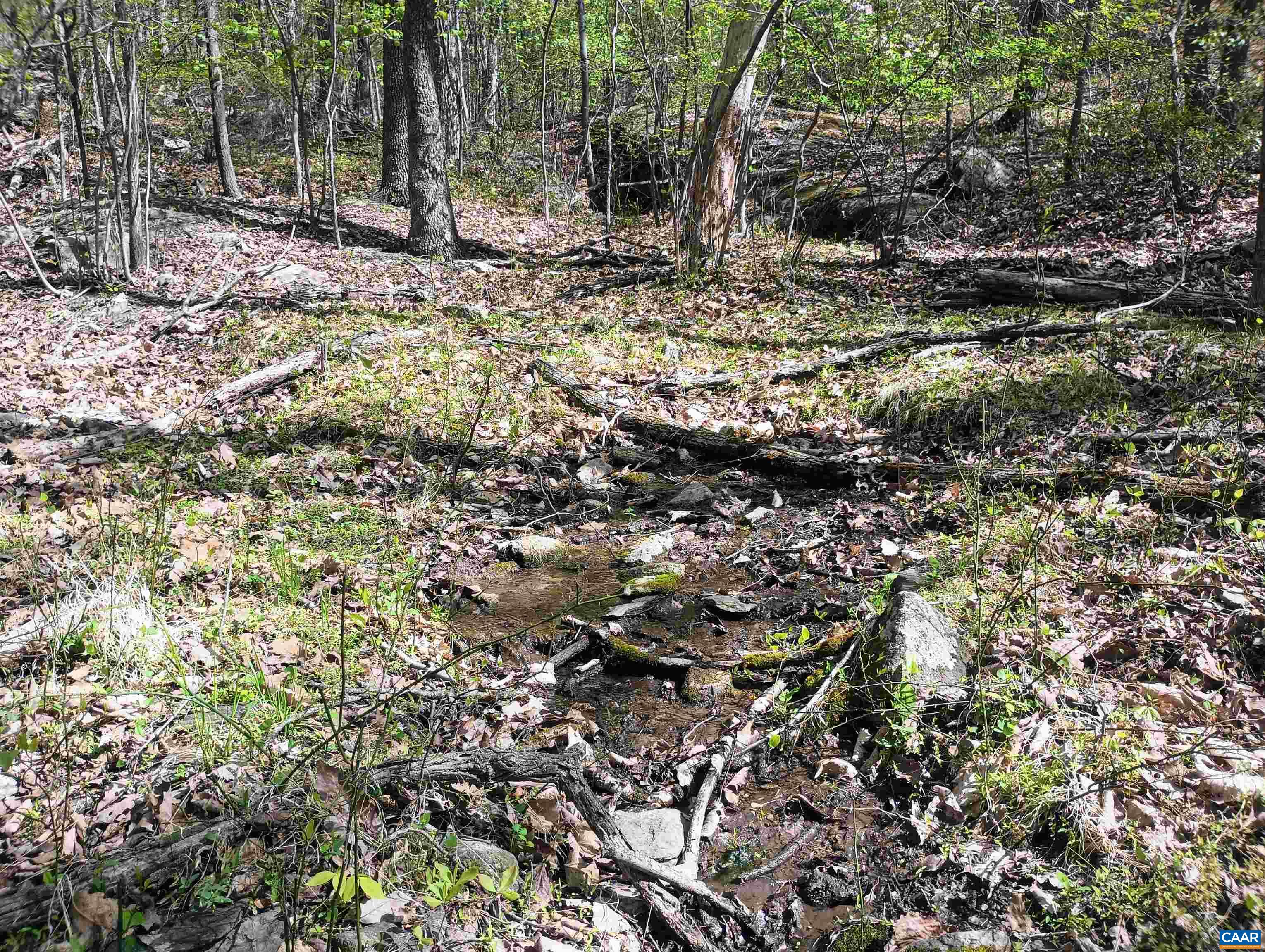 0 ROCKFISH HEIGHTS LN, NELLYSFORD, Virginia 22958, ,Land,0 ROCKFISH HEIGHTS LN,676019 MLS # 676019