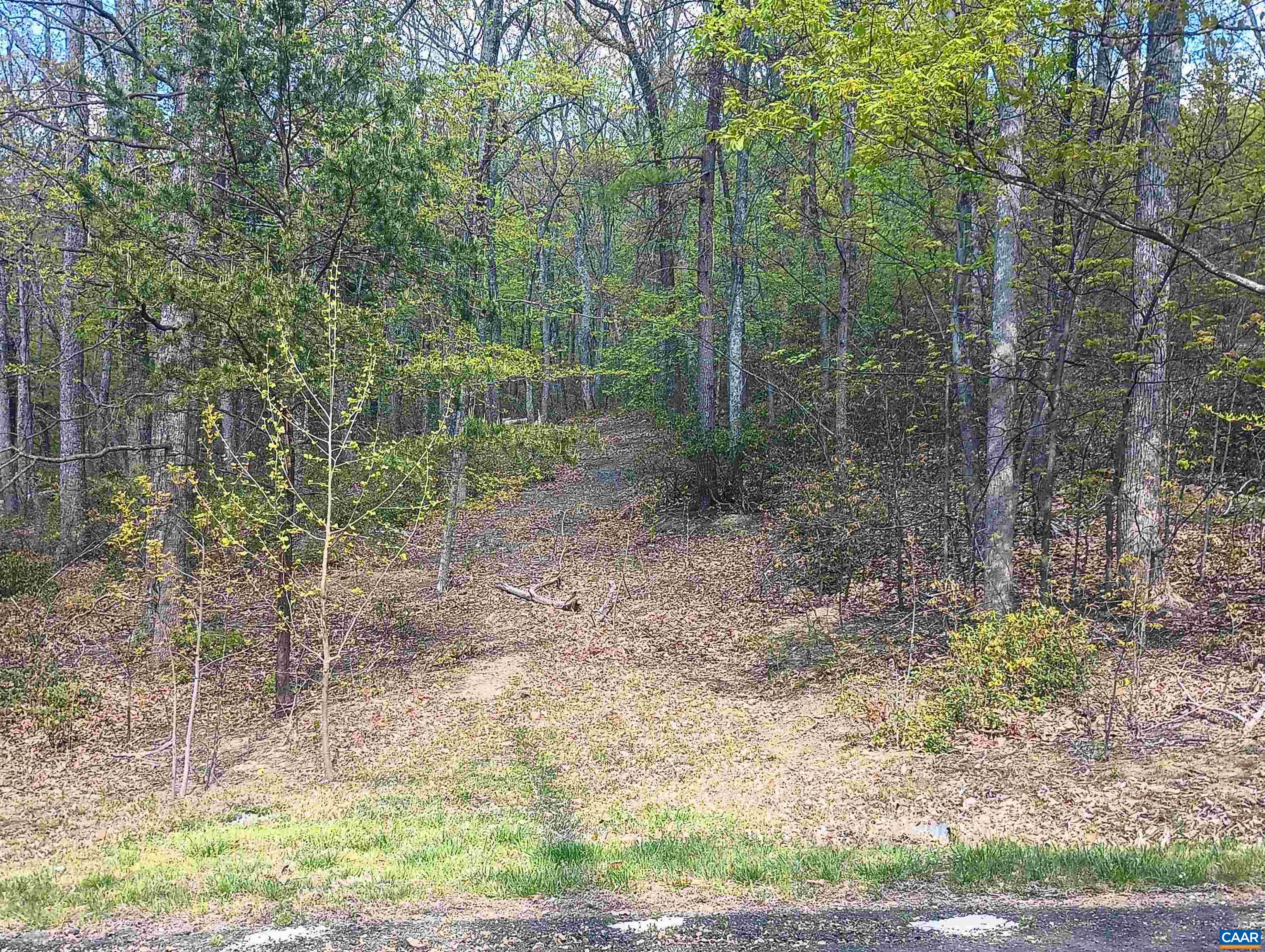 0 ROCKFISH HEIGHTS LN, NELLYSFORD, Virginia 22958, ,Land,0 ROCKFISH HEIGHTS LN,676019 MLS # 676019