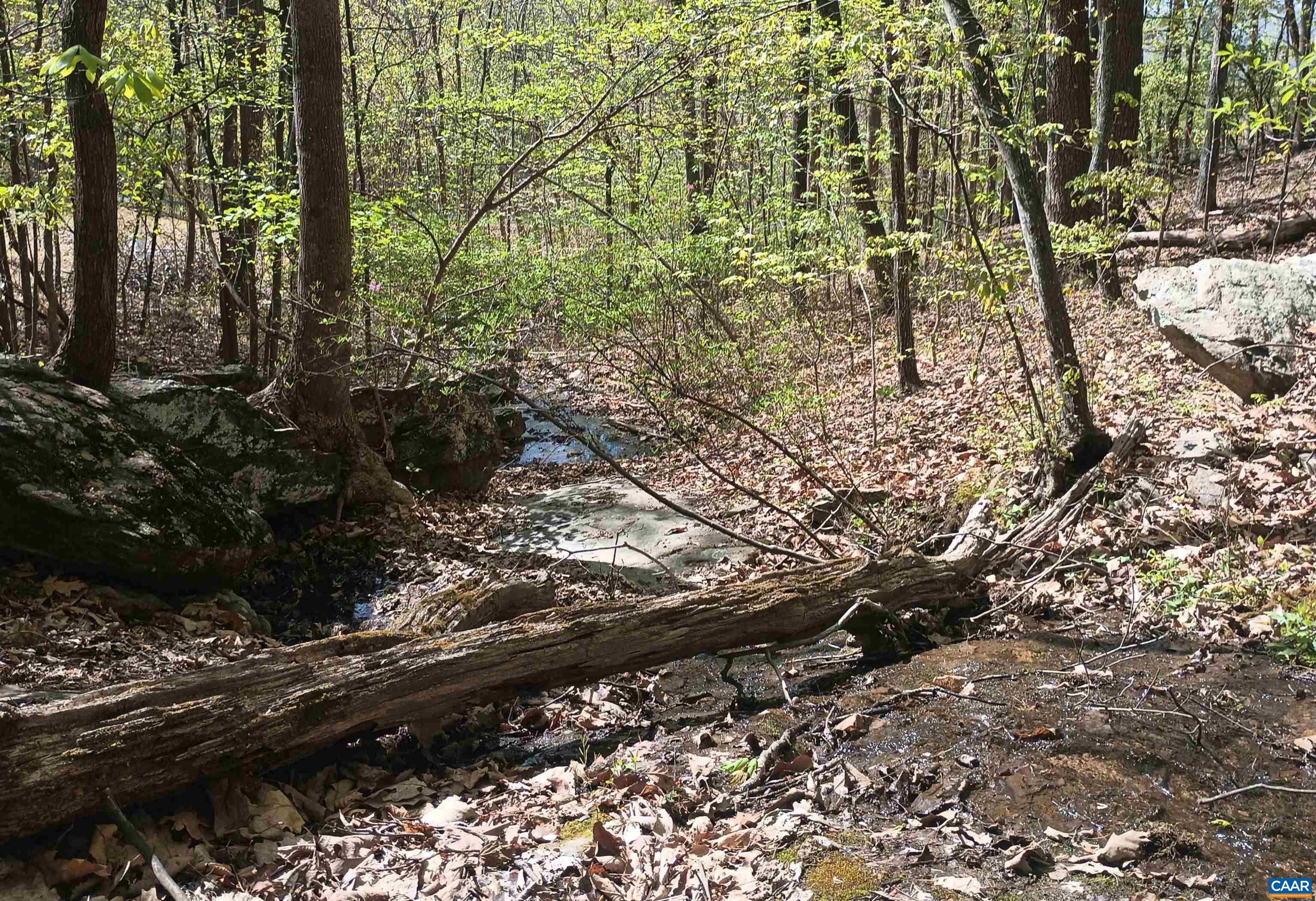 0 ROCKFISH HEIGHTS LN, NELLYSFORD, Virginia 22958, ,Land,0 ROCKFISH HEIGHTS LN,676019 MLS # 676019