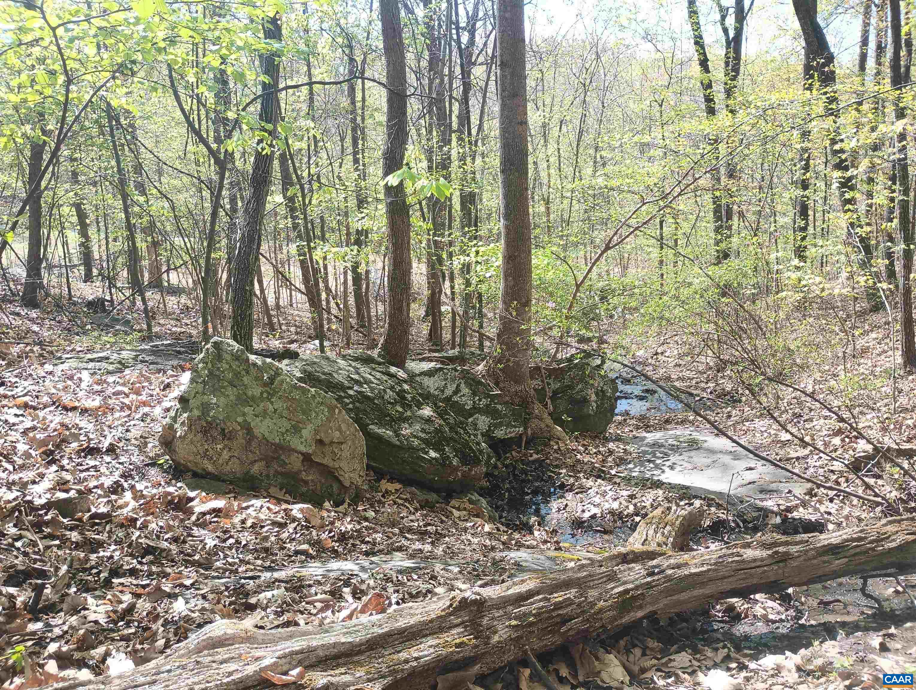 0 ROCKFISH HEIGHTS LN, NELLYSFORD, Virginia 22958, ,Land,0 ROCKFISH HEIGHTS LN,676019 MLS # 676019