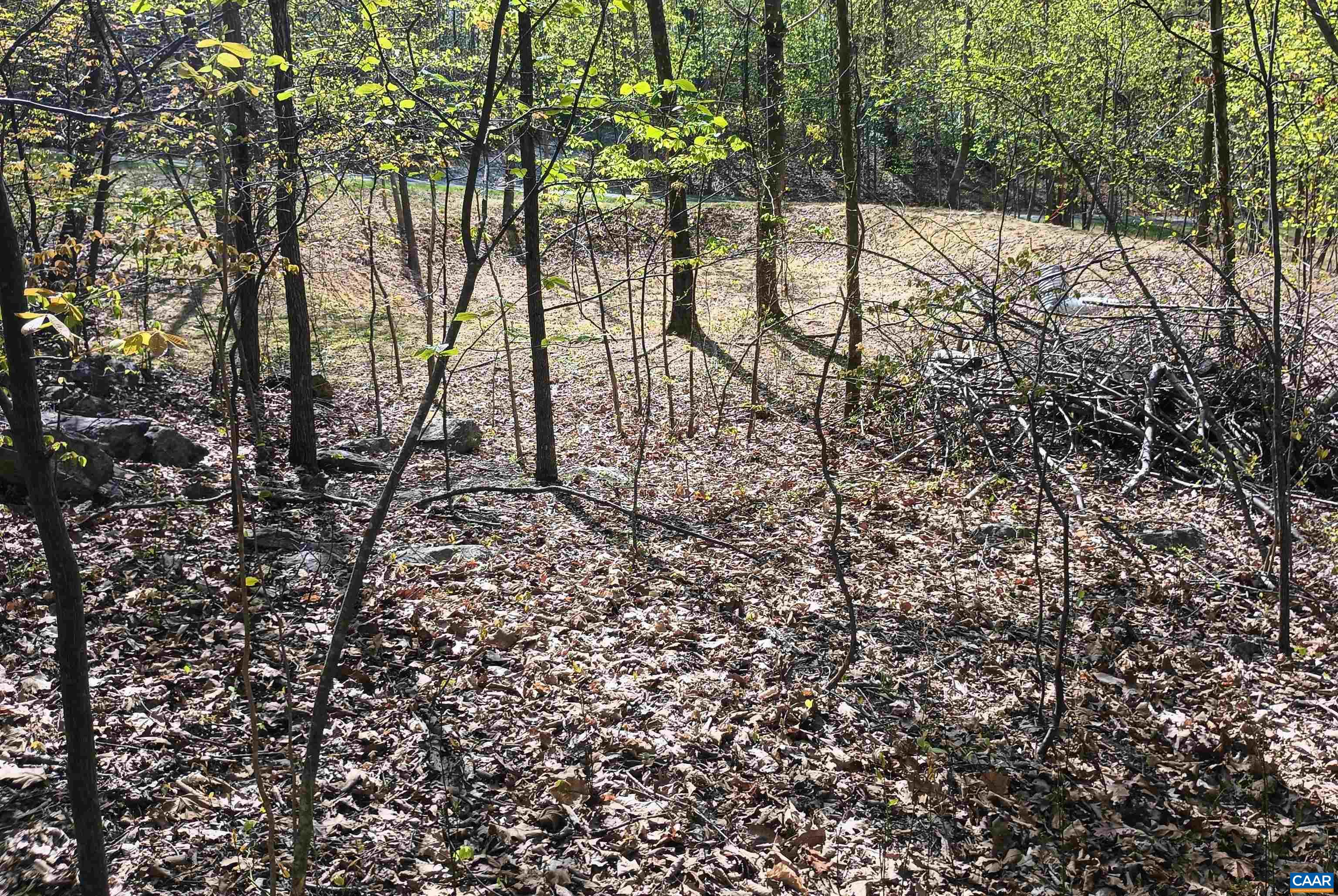 0 ROCKFISH HEIGHTS LN, NELLYSFORD, Virginia 22958, ,Land,0 ROCKFISH HEIGHTS LN,676019 MLS # 676019