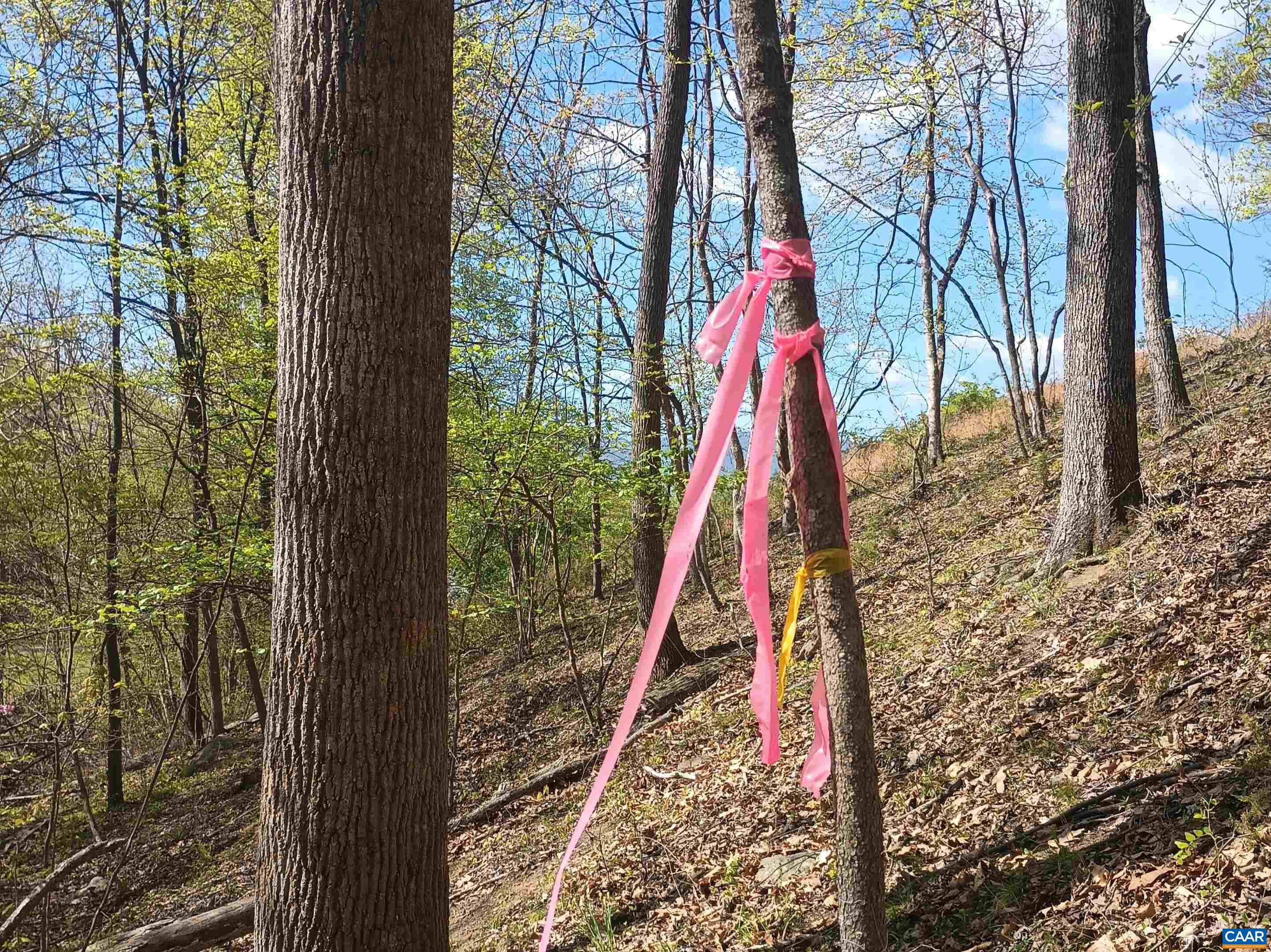 0 ROCKFISH HEIGHTS LN, NELLYSFORD, Virginia 22958, ,Land,0 ROCKFISH HEIGHTS LN,676019 MLS # 676019