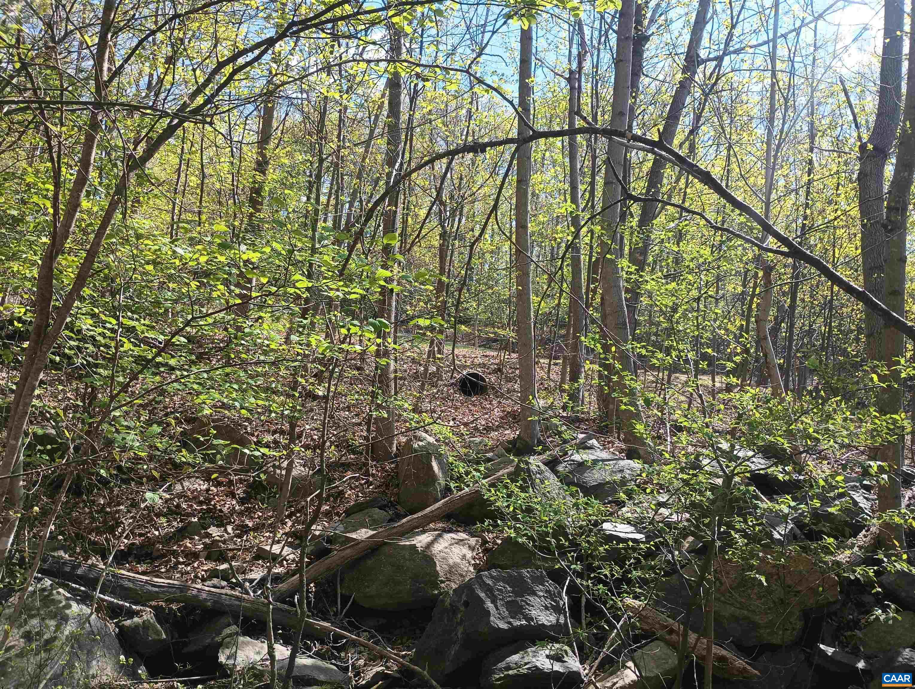 0 ROCKFISH HEIGHTS LN, NELLYSFORD, Virginia 22958, ,Land,0 ROCKFISH HEIGHTS LN,676019 MLS # 676019