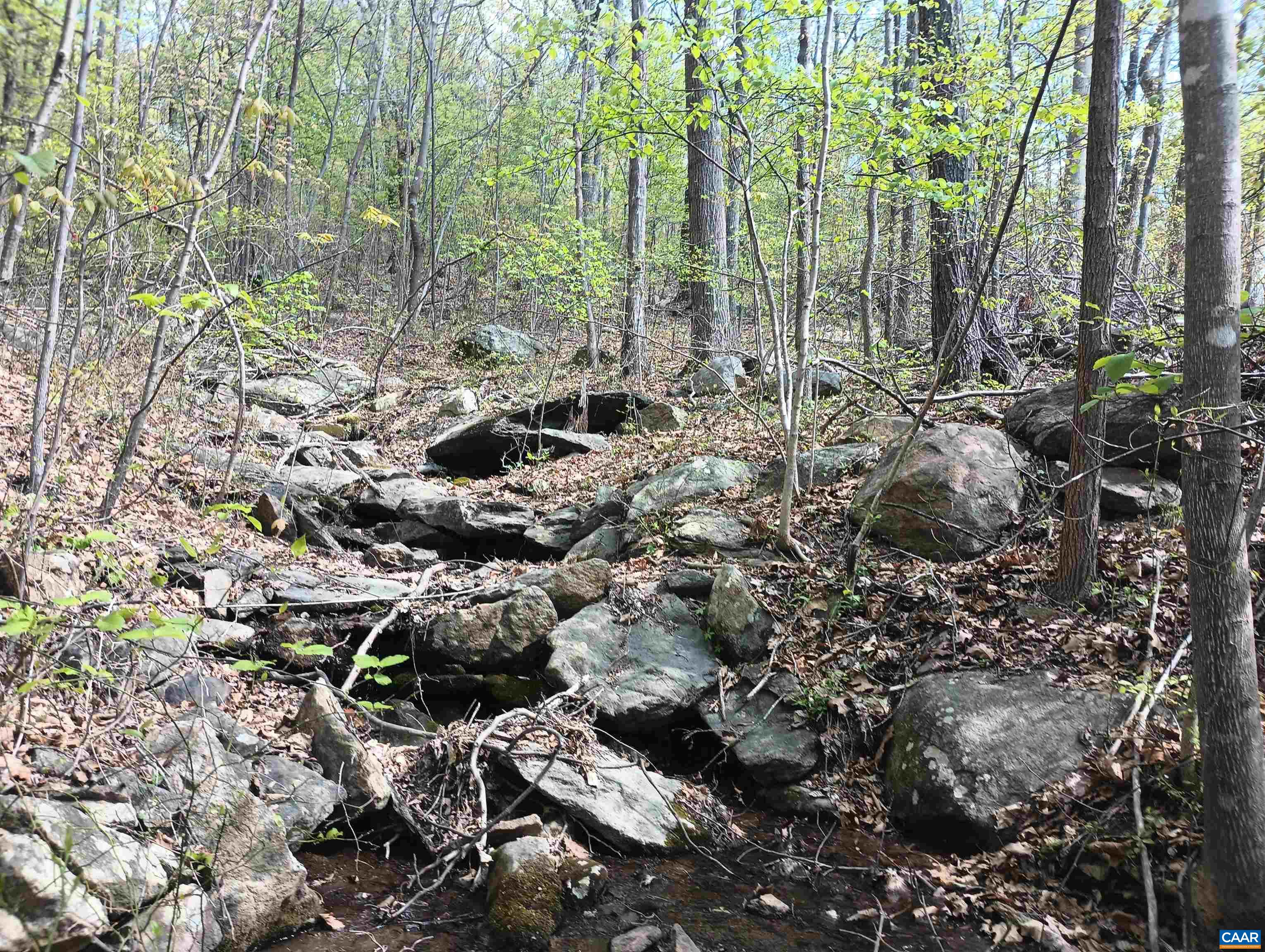 0 ROCKFISH HEIGHTS LN, NELLYSFORD, Virginia 22958, ,Land,0 ROCKFISH HEIGHTS LN,676019 MLS # 676019