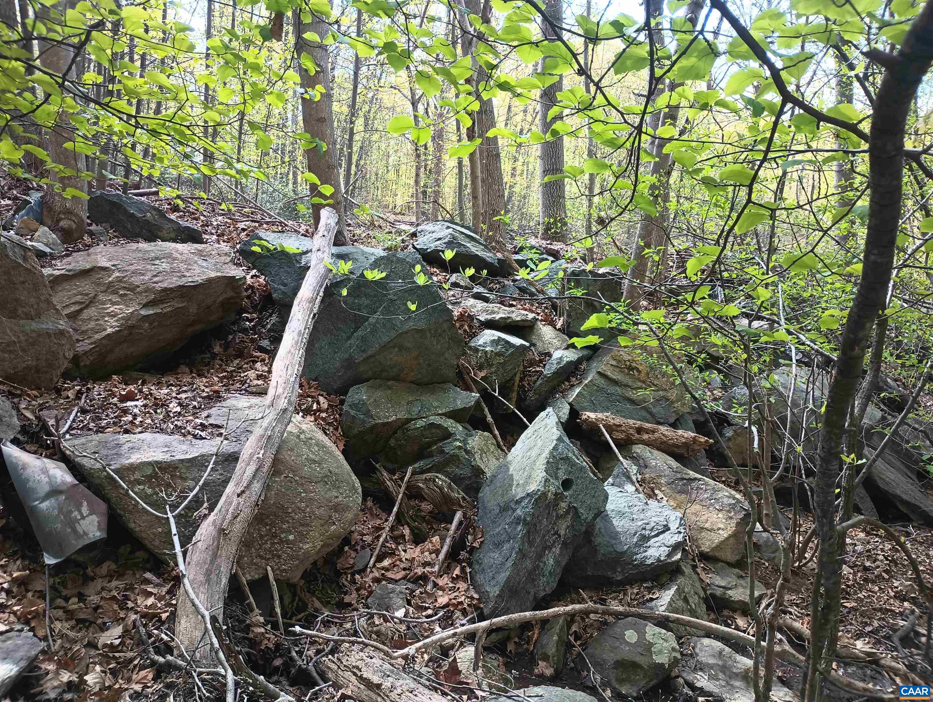 0 ROCKFISH HEIGHTS LN, NELLYSFORD, Virginia 22958, ,Land,0 ROCKFISH HEIGHTS LN,676019 MLS # 676019